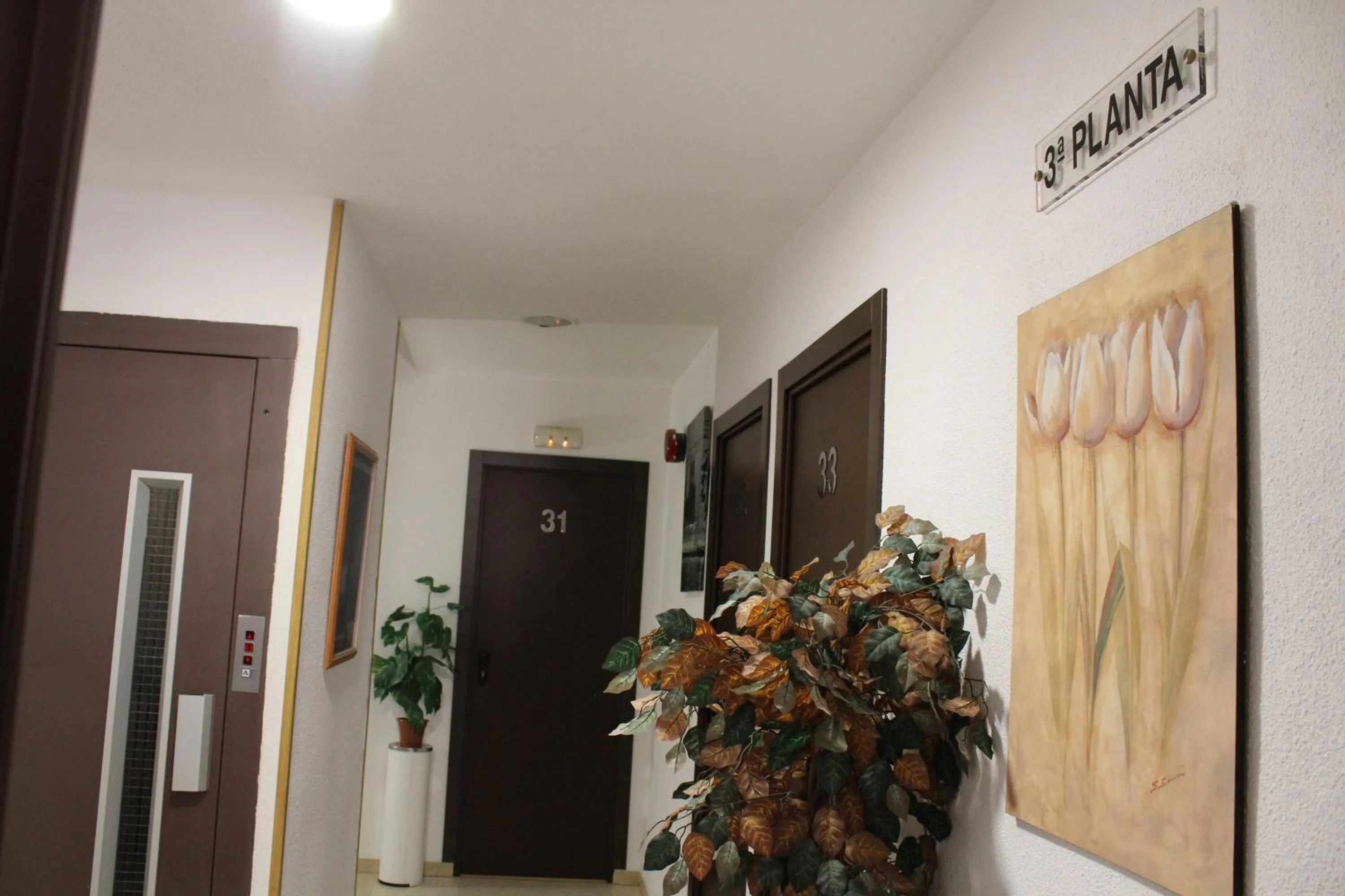 Other in Hotel Cuatro Caños