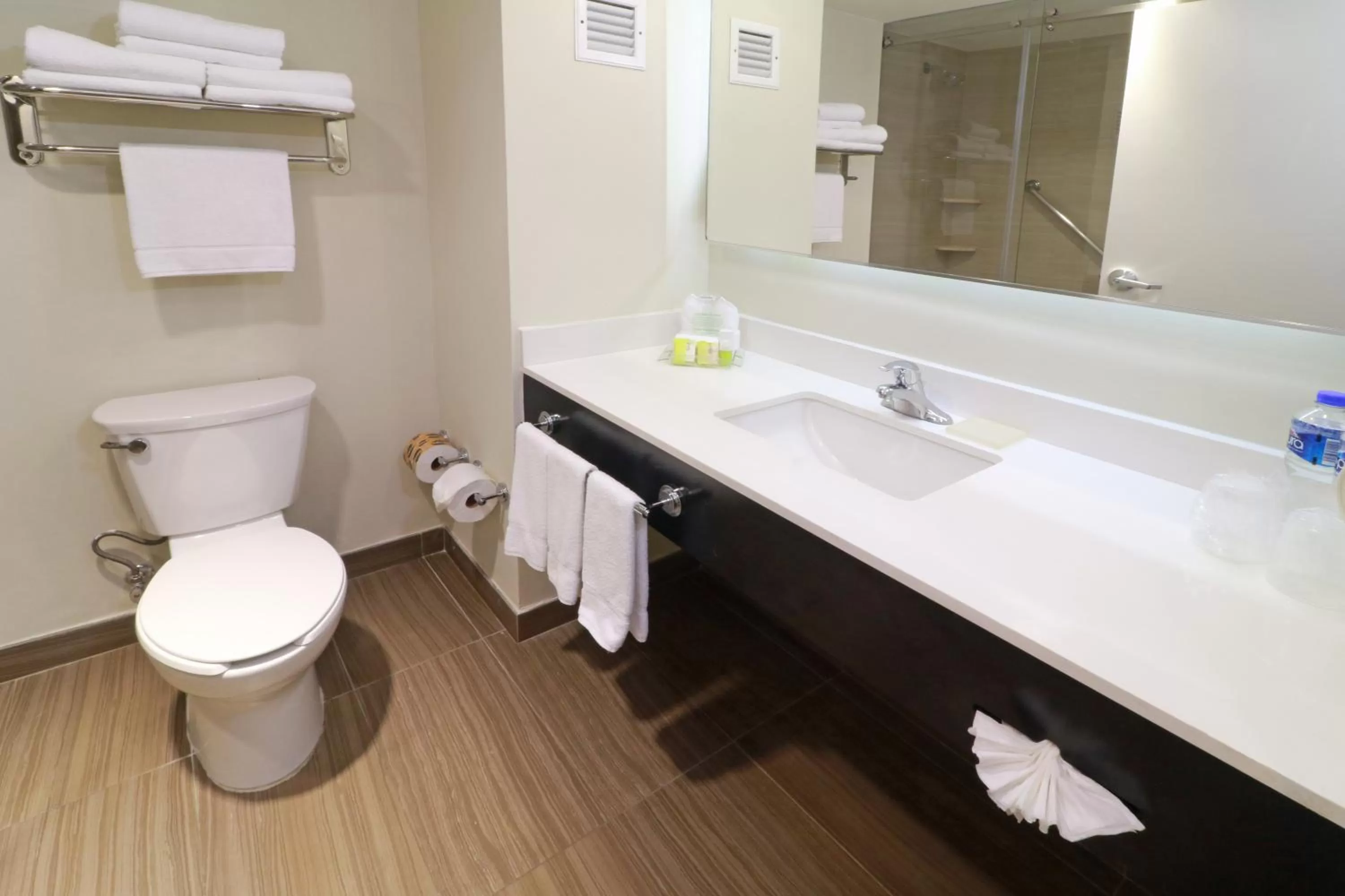 Toilet in Holiday Inn Tampico-Altamira by IHG