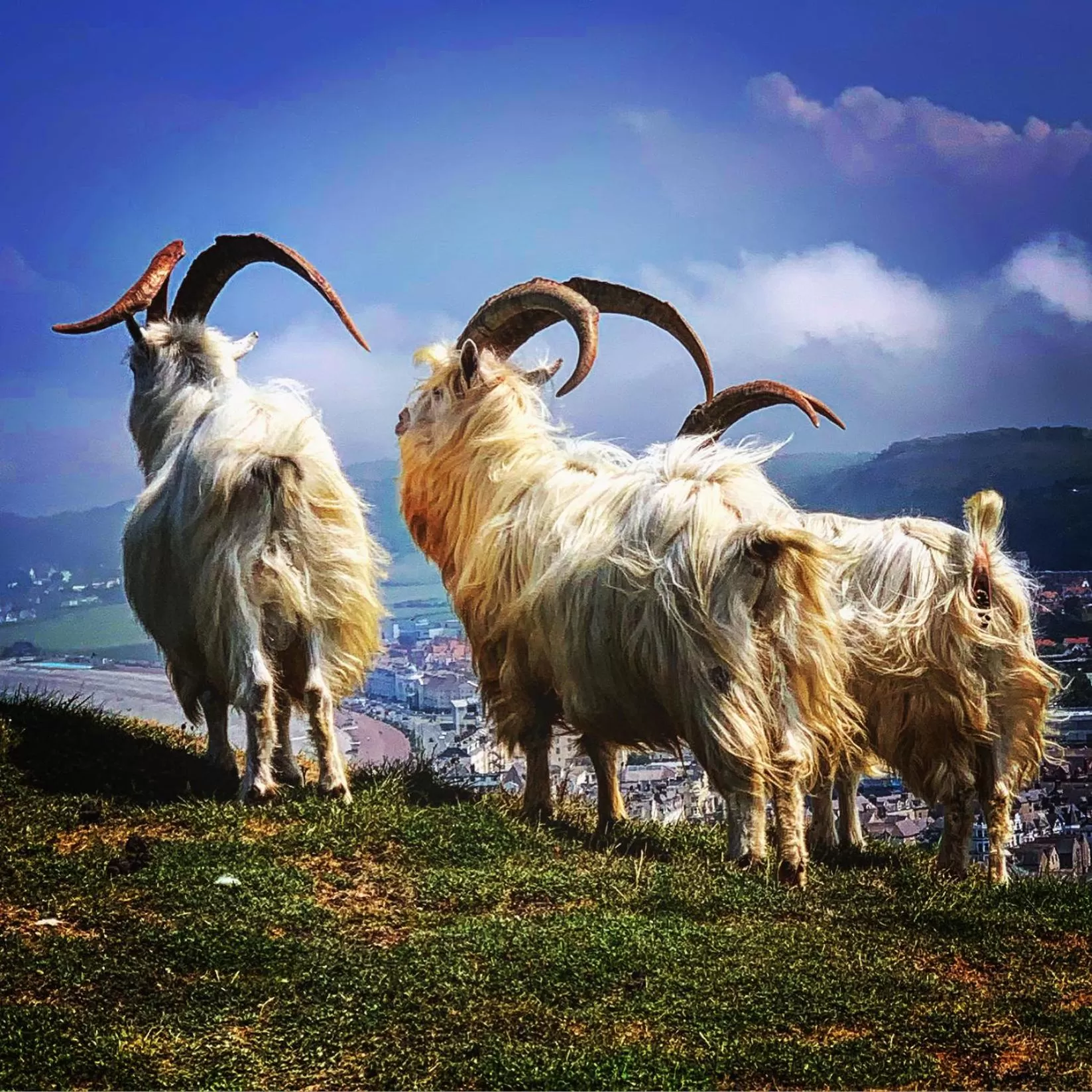 Hiking in Lansdowne House with Private Car Park