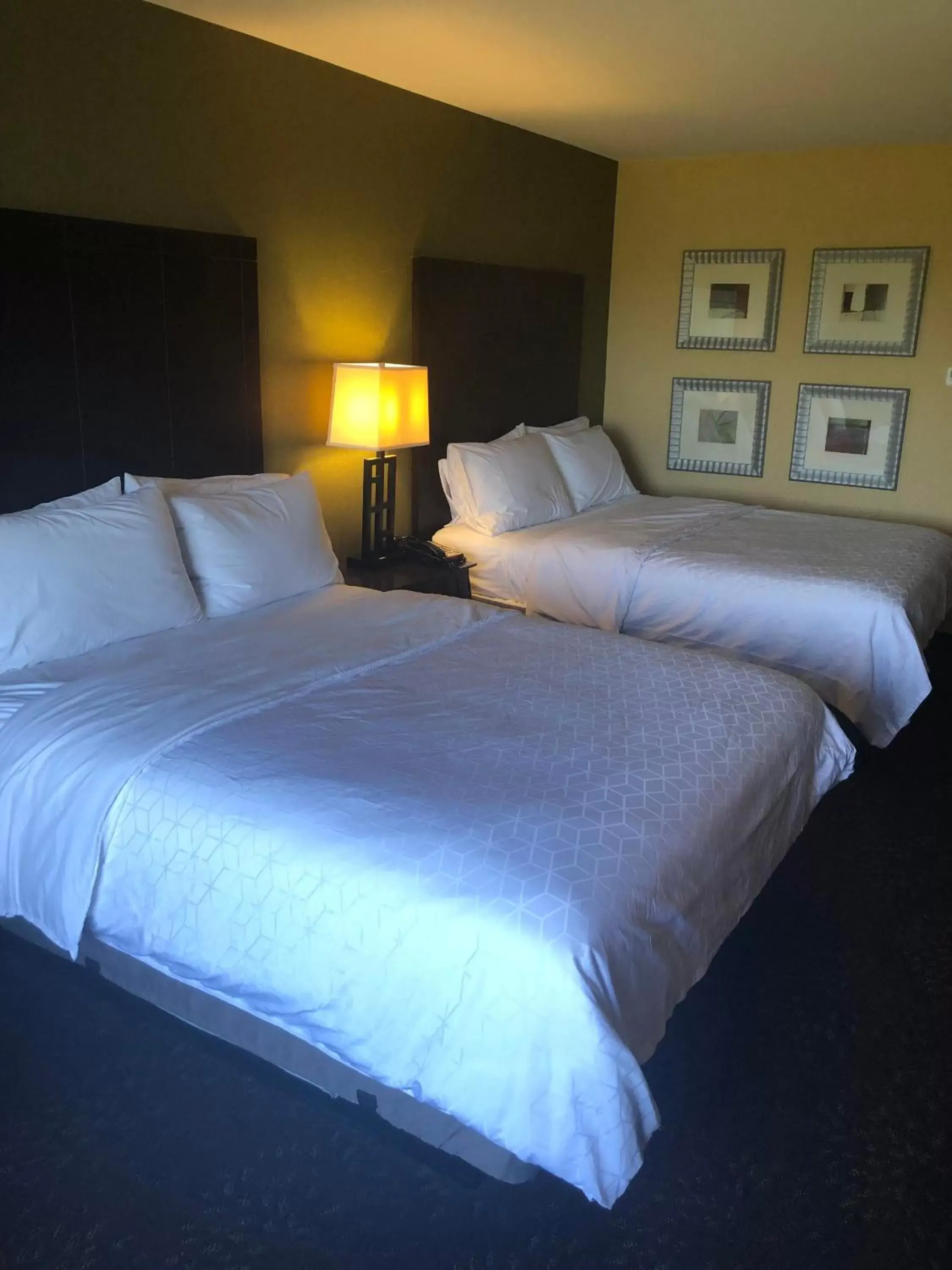 Queen Suite with Two Queen Beds in Holiday Inn Express Hotel & Suites Lansing-Dimondale by IHG Queen Suite with Two Queen Beds in Holiday Inn Express Hotel & Suites Lansing-Dimondale by IHG