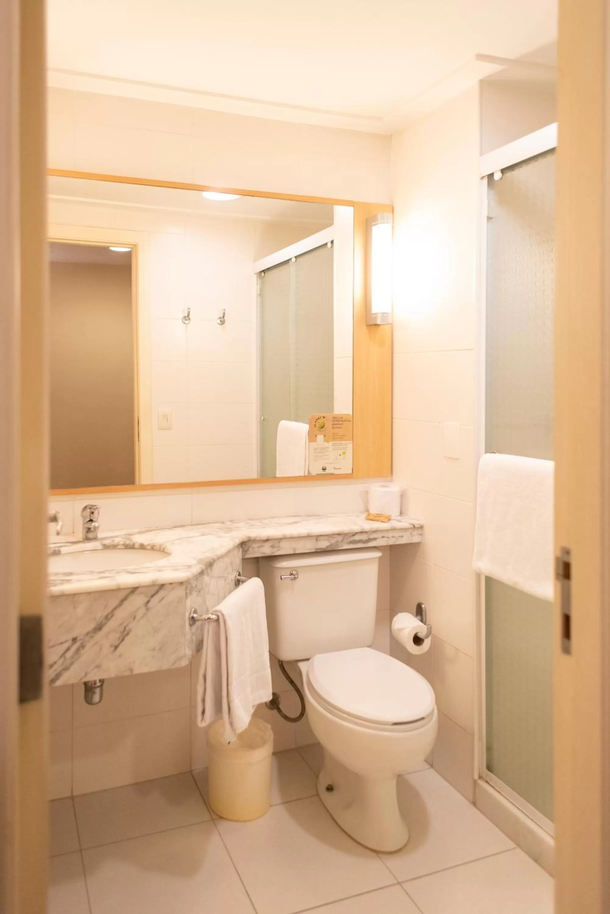 Bathroom in ibis Sao Paulo Barra Funda