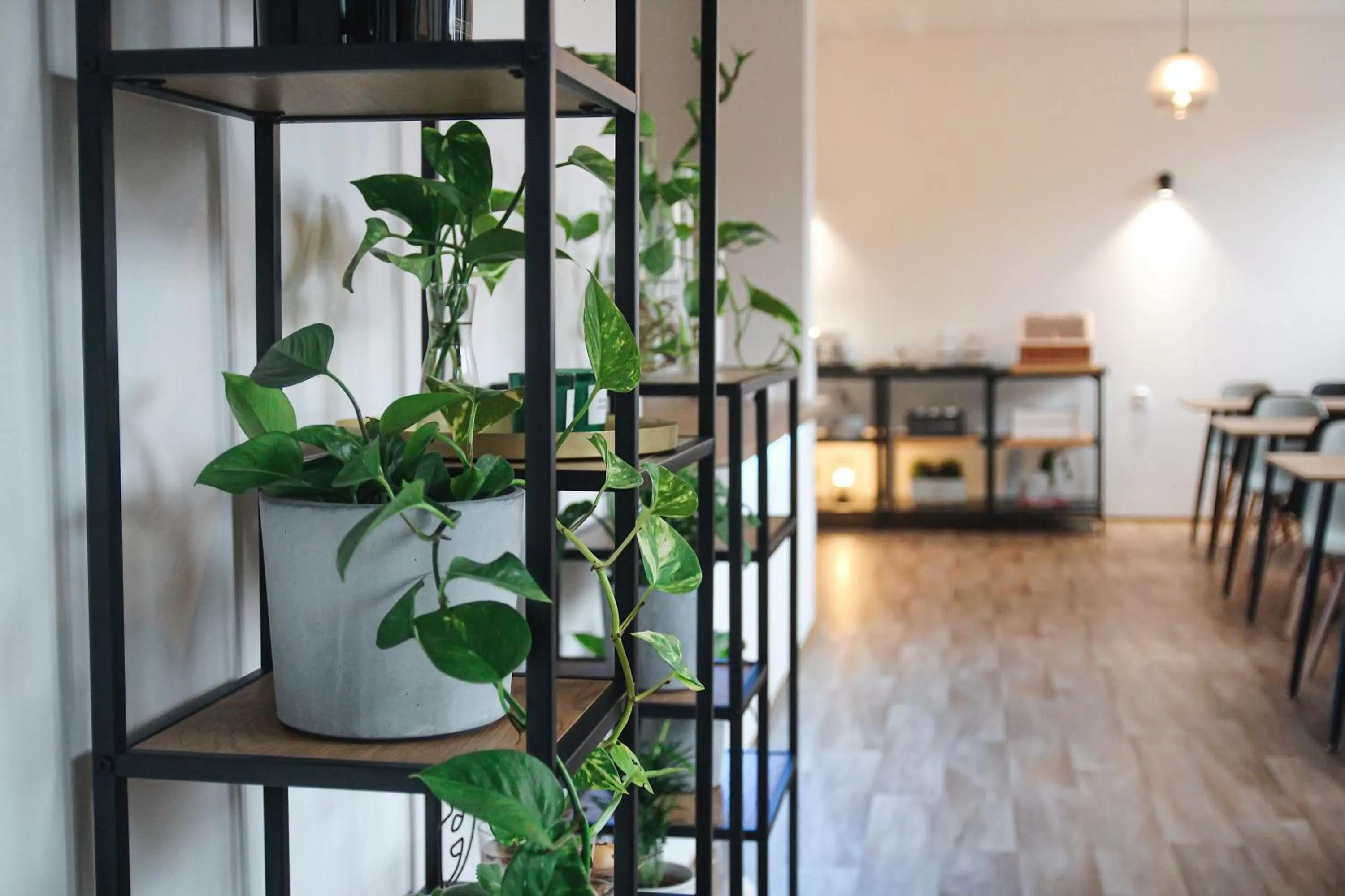 Dining area in Hotel ATLAS