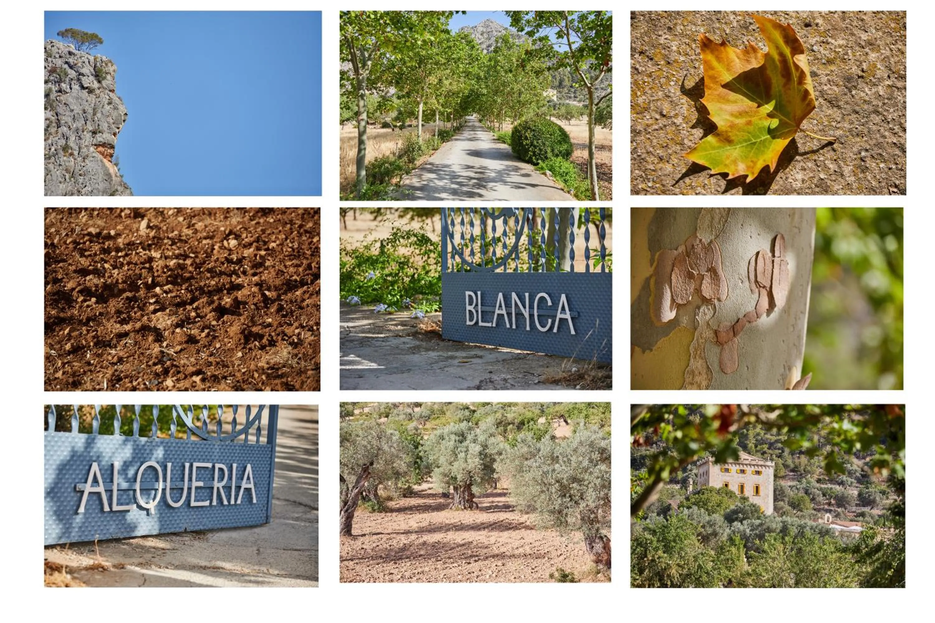 Other in Agroturismo Alquería Blanca