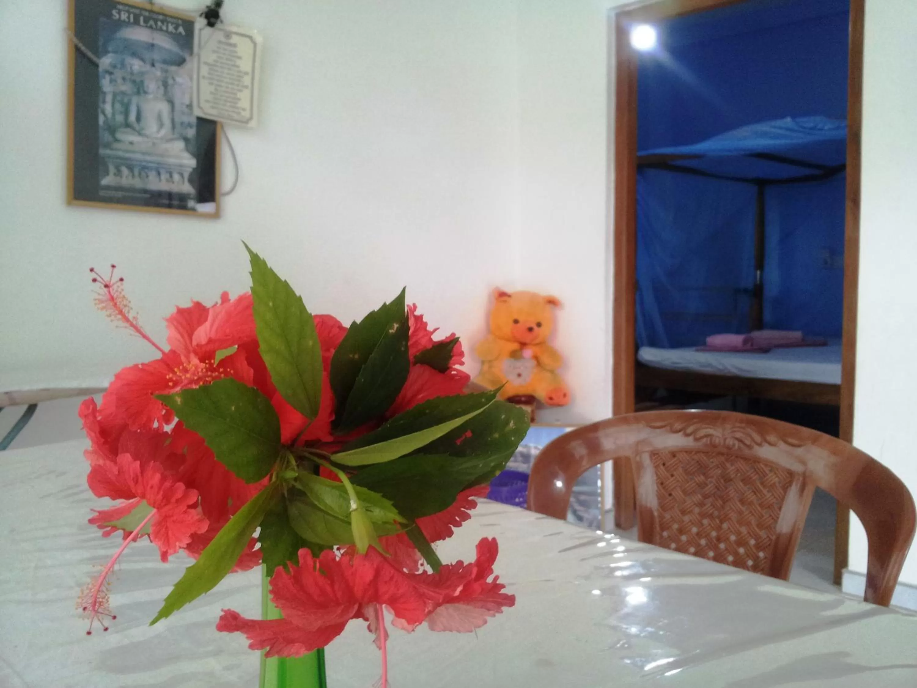 Property logo or sign in Era Holiday House