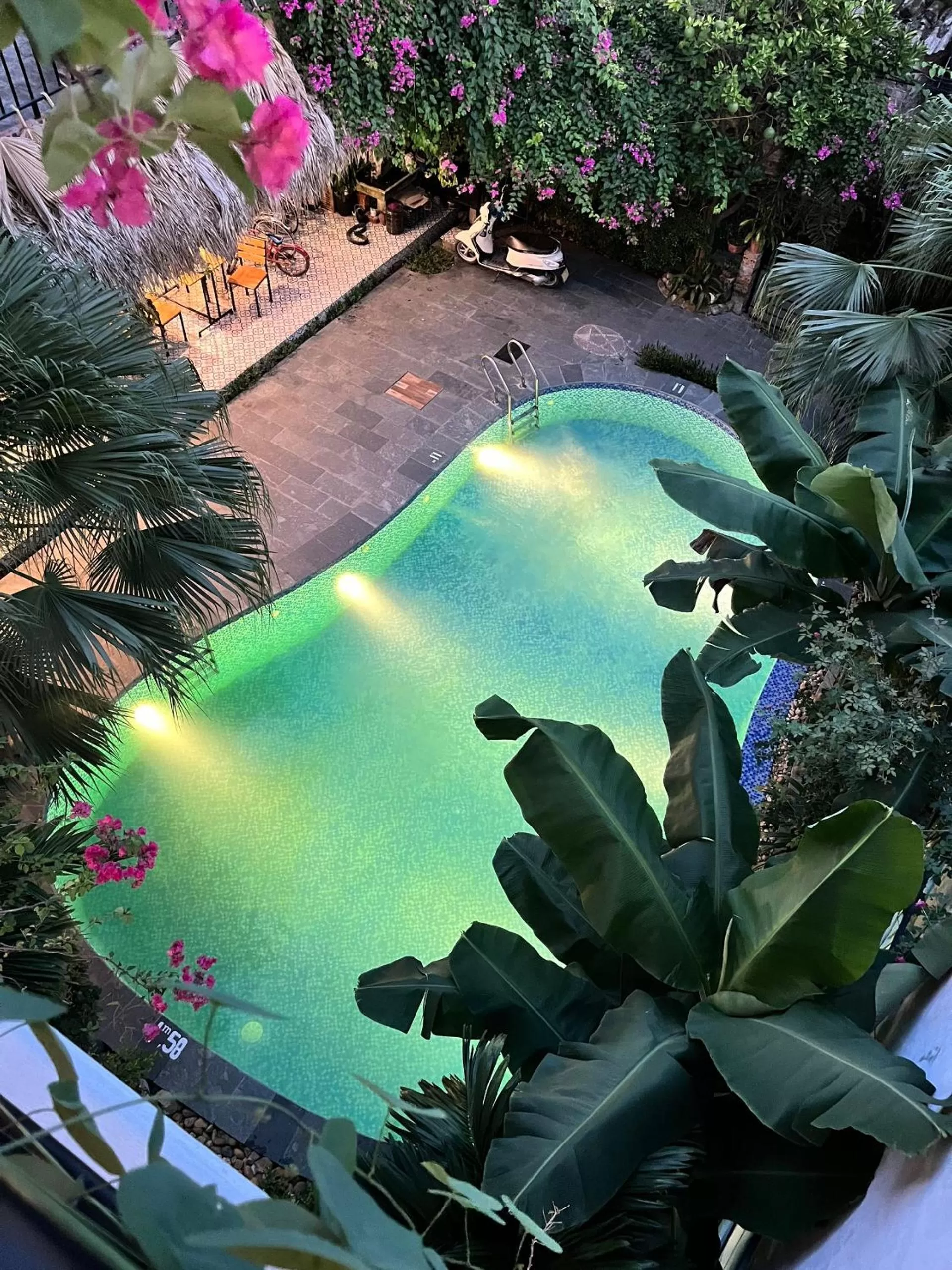 Pool view in Tam Coc Full House Homestay