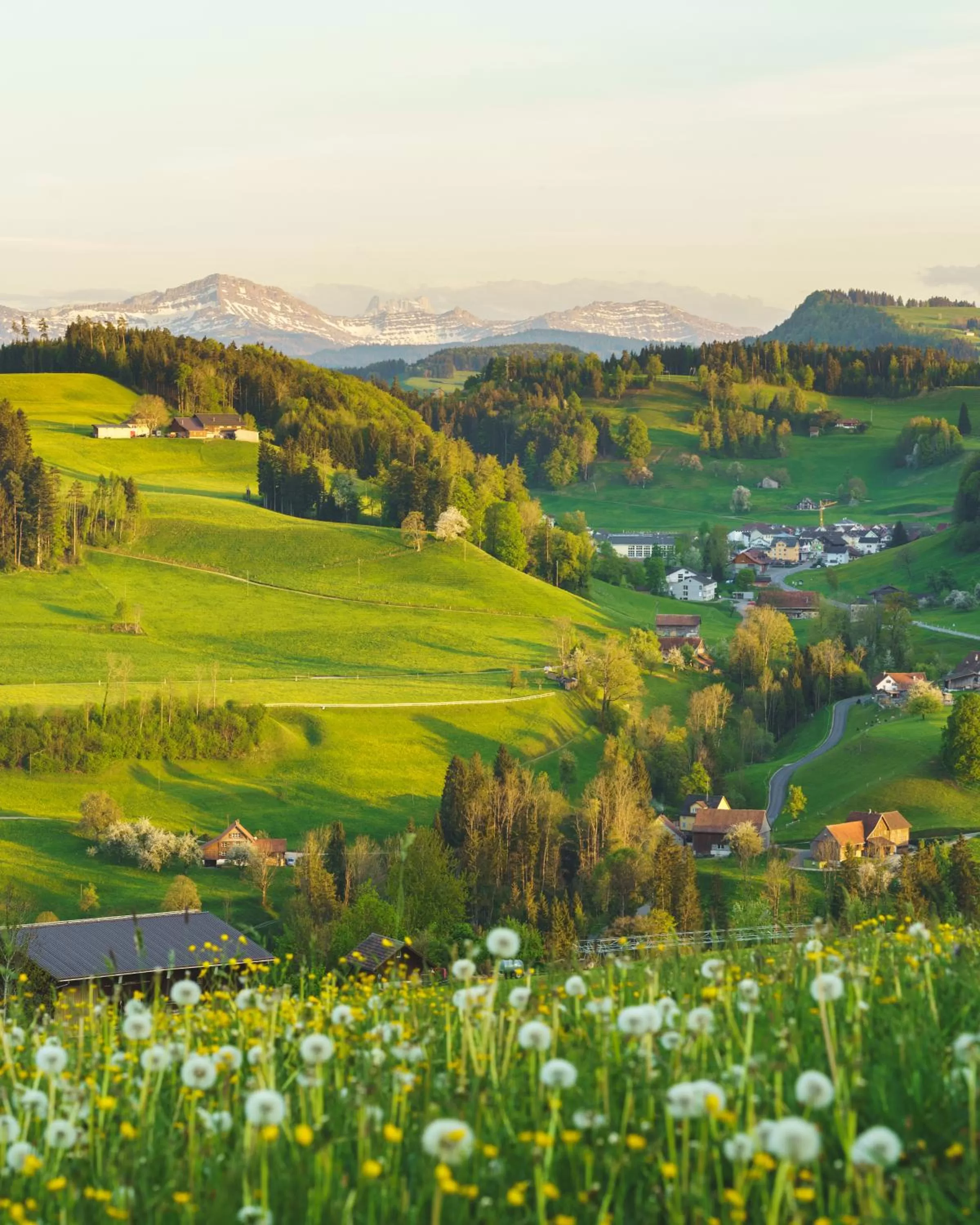 Staff in kroneLODGE - Self-Check-In Hotel