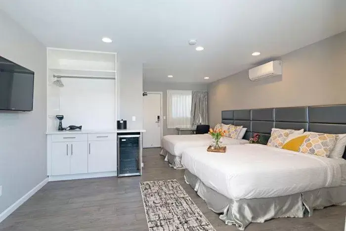 Sands Of La Jolla Sands Of La Jolla