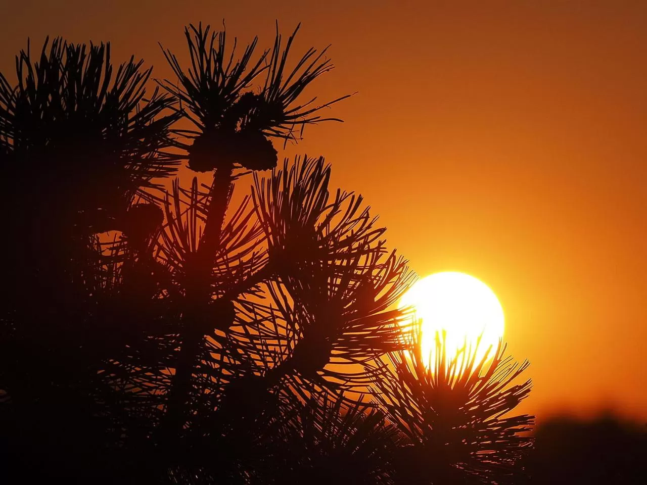 Nearby landmark in Boutique Hotel Angerer