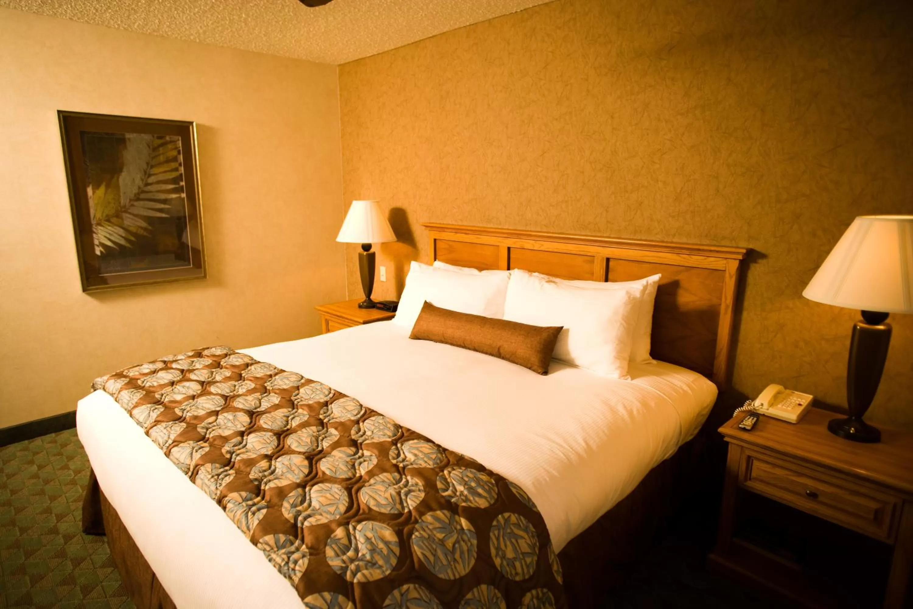 Bed in Borrego Springs Resort