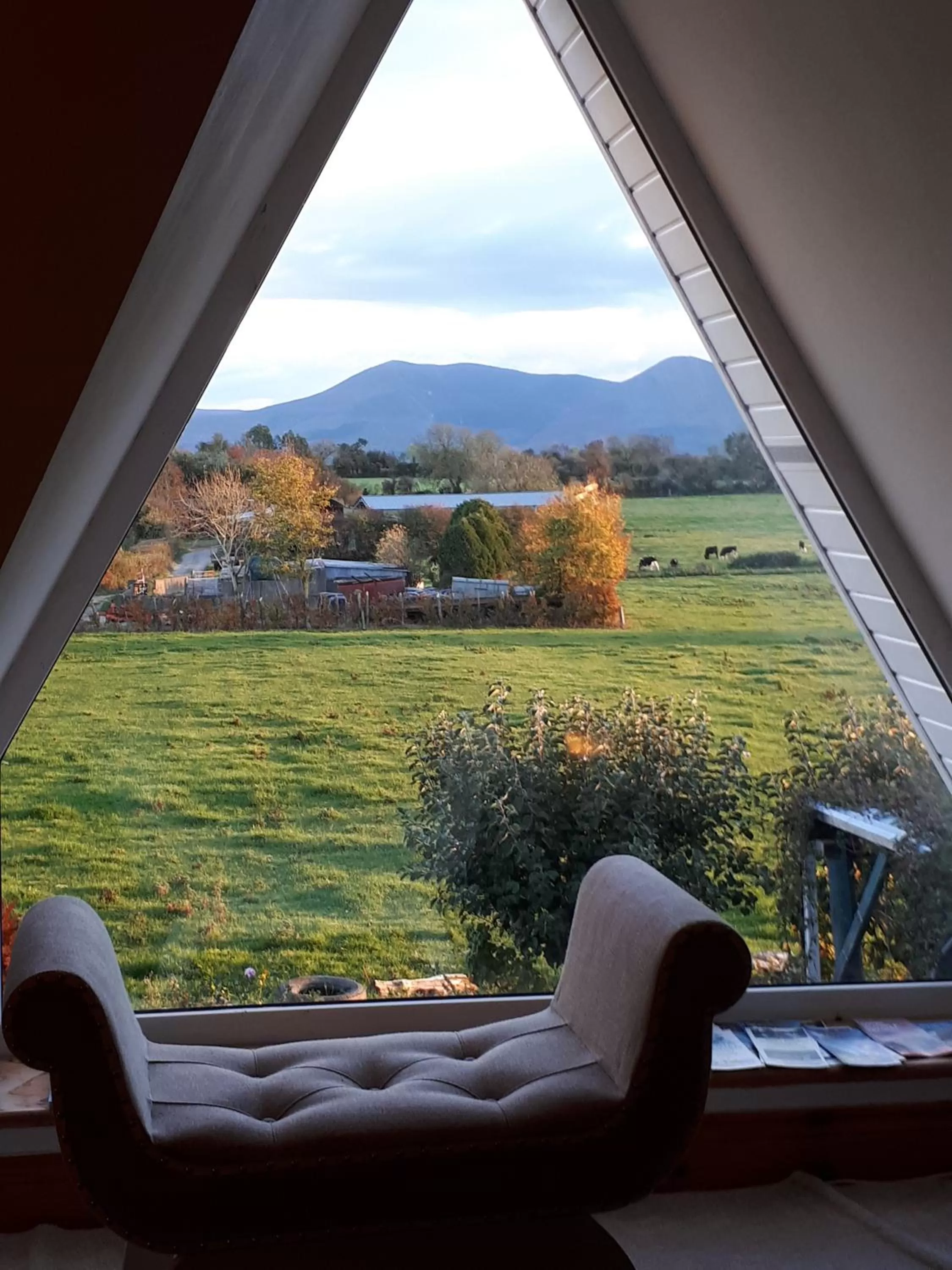 Living room in Annaswood B&B