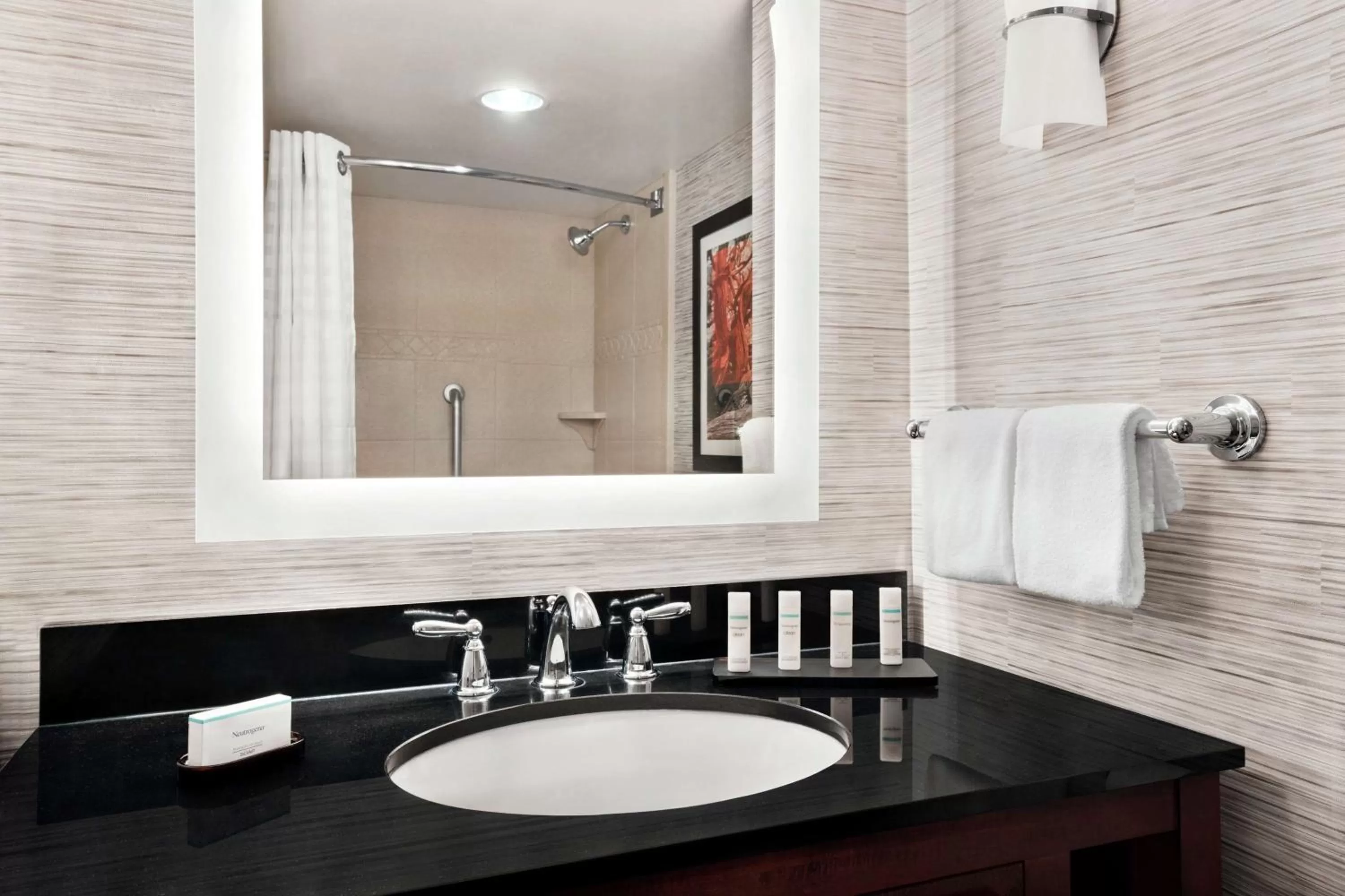 Bathroom in Embassy Suites Brunswick