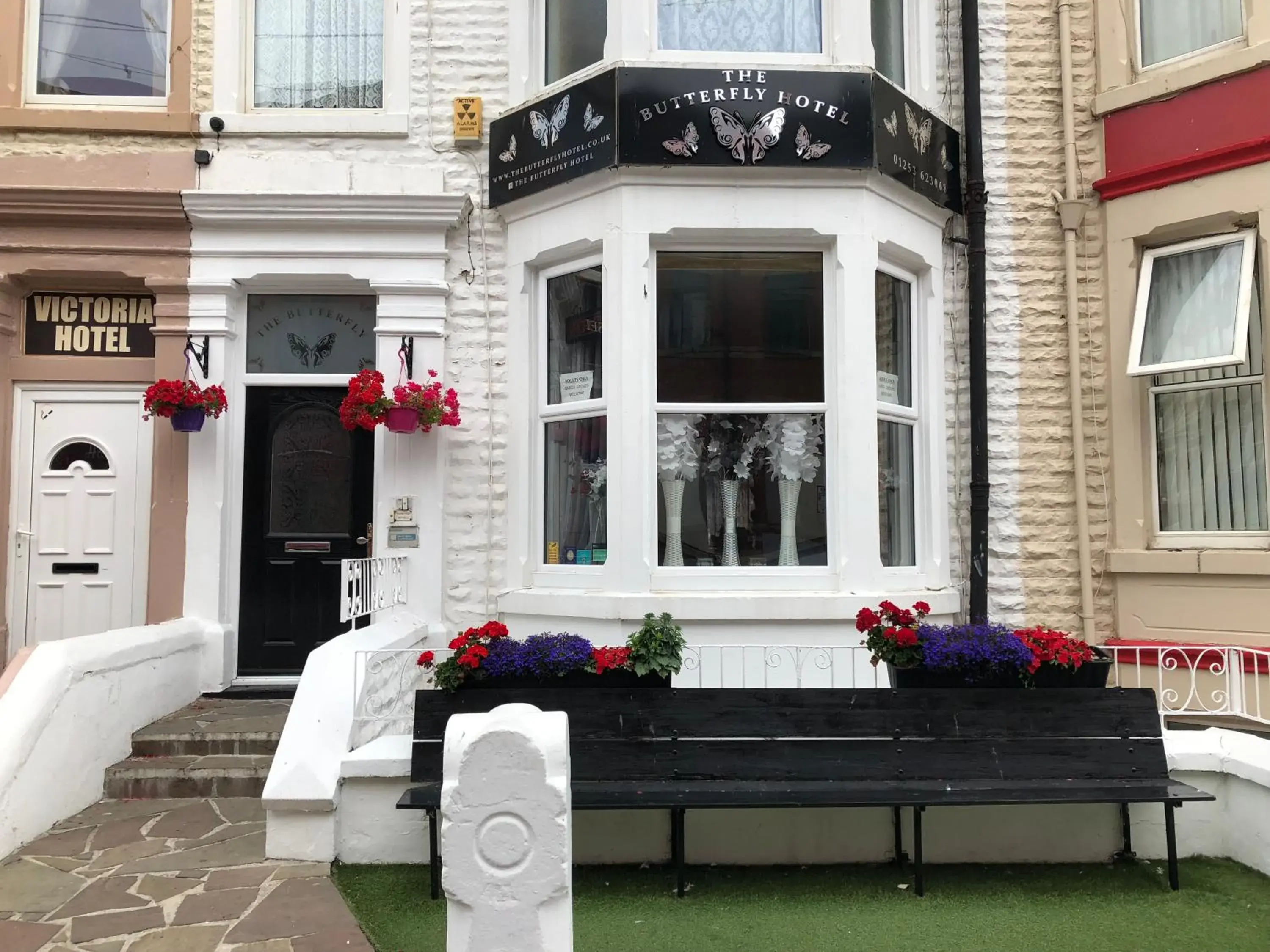 The Butterfly Hotel The Butterfly Hotel