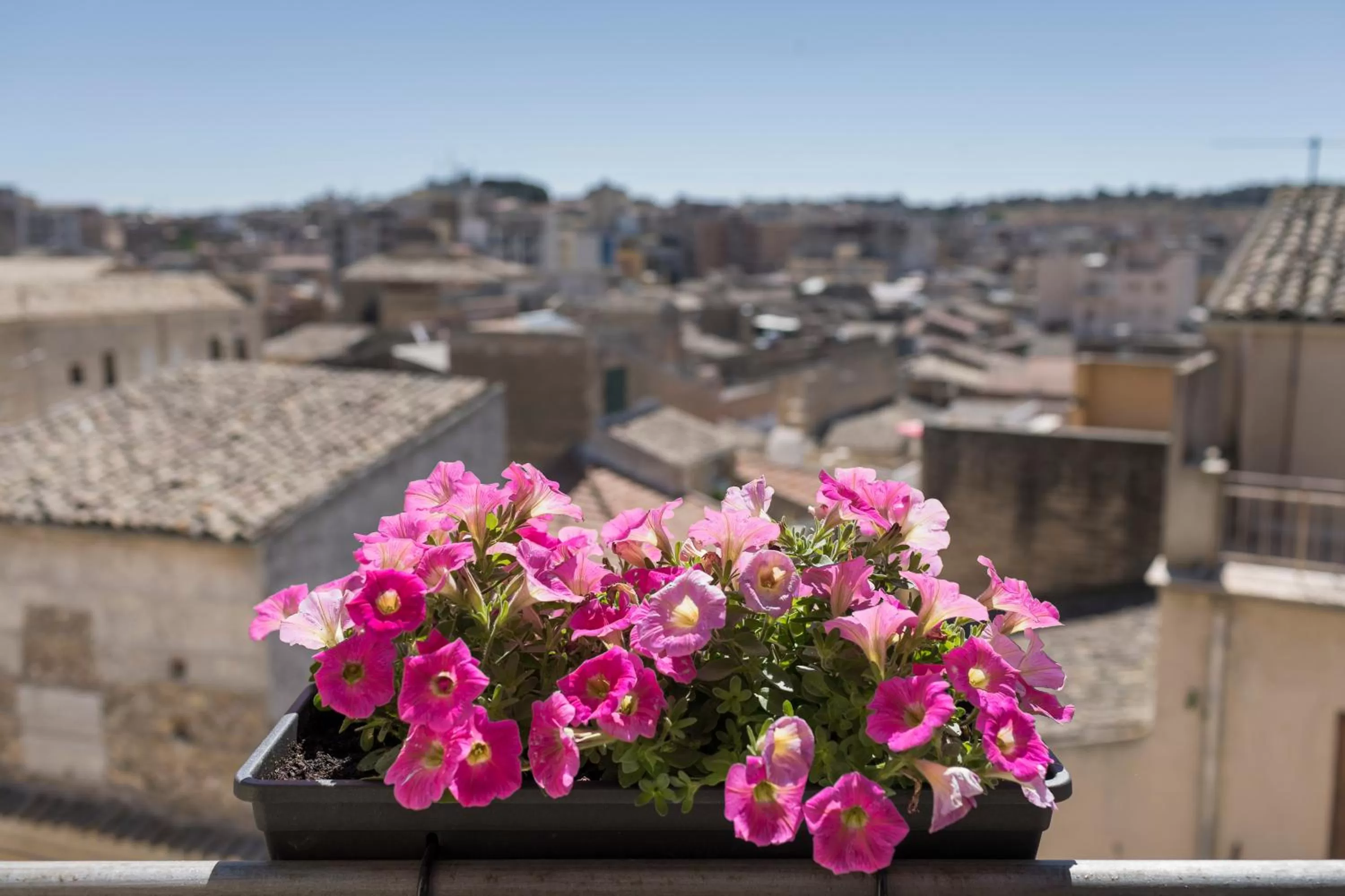 Decorative detail in Beatus Suites And Rooms B&B