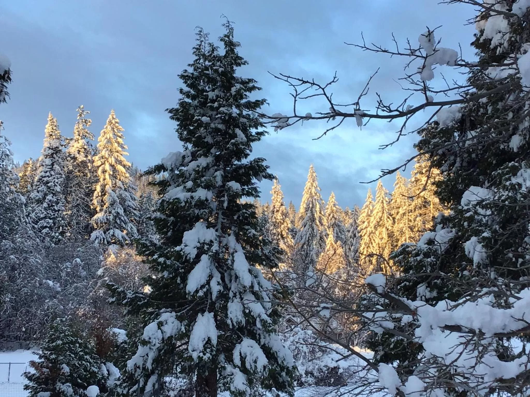 Mount Shasta Ranch Bed and Breakfast