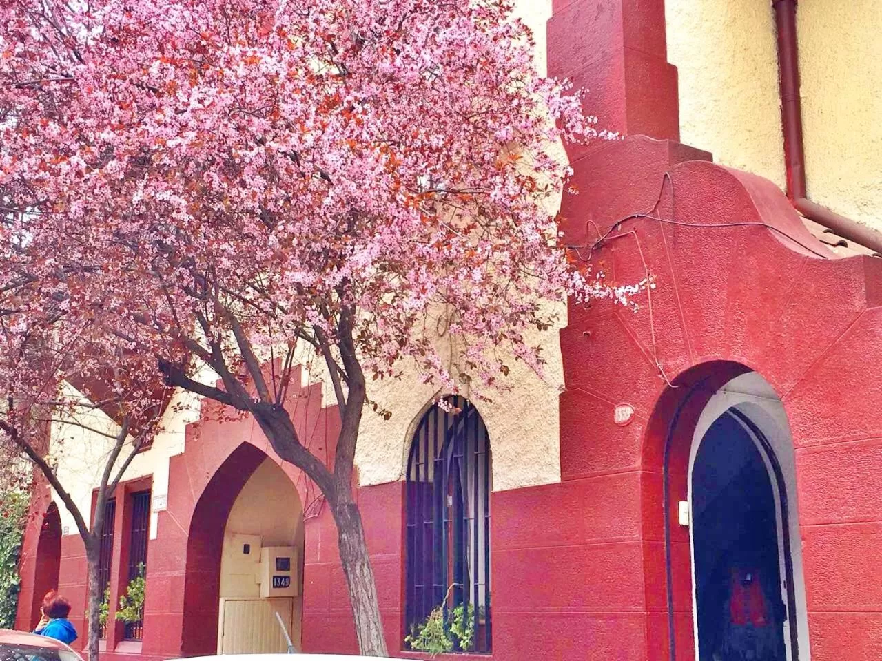 Spring in Tralkan B&B