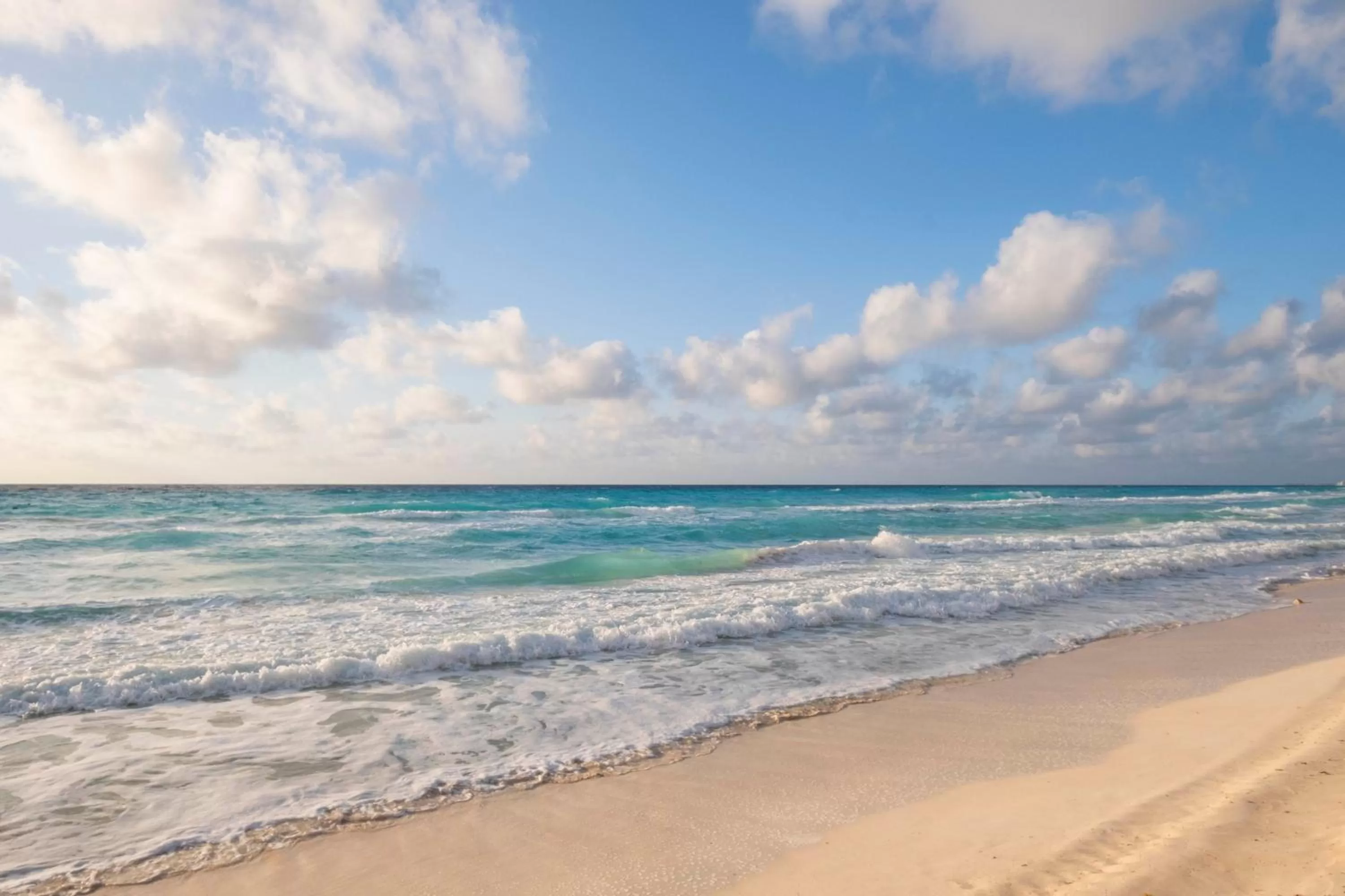 Natural landscape in Hotel NYX Cancun