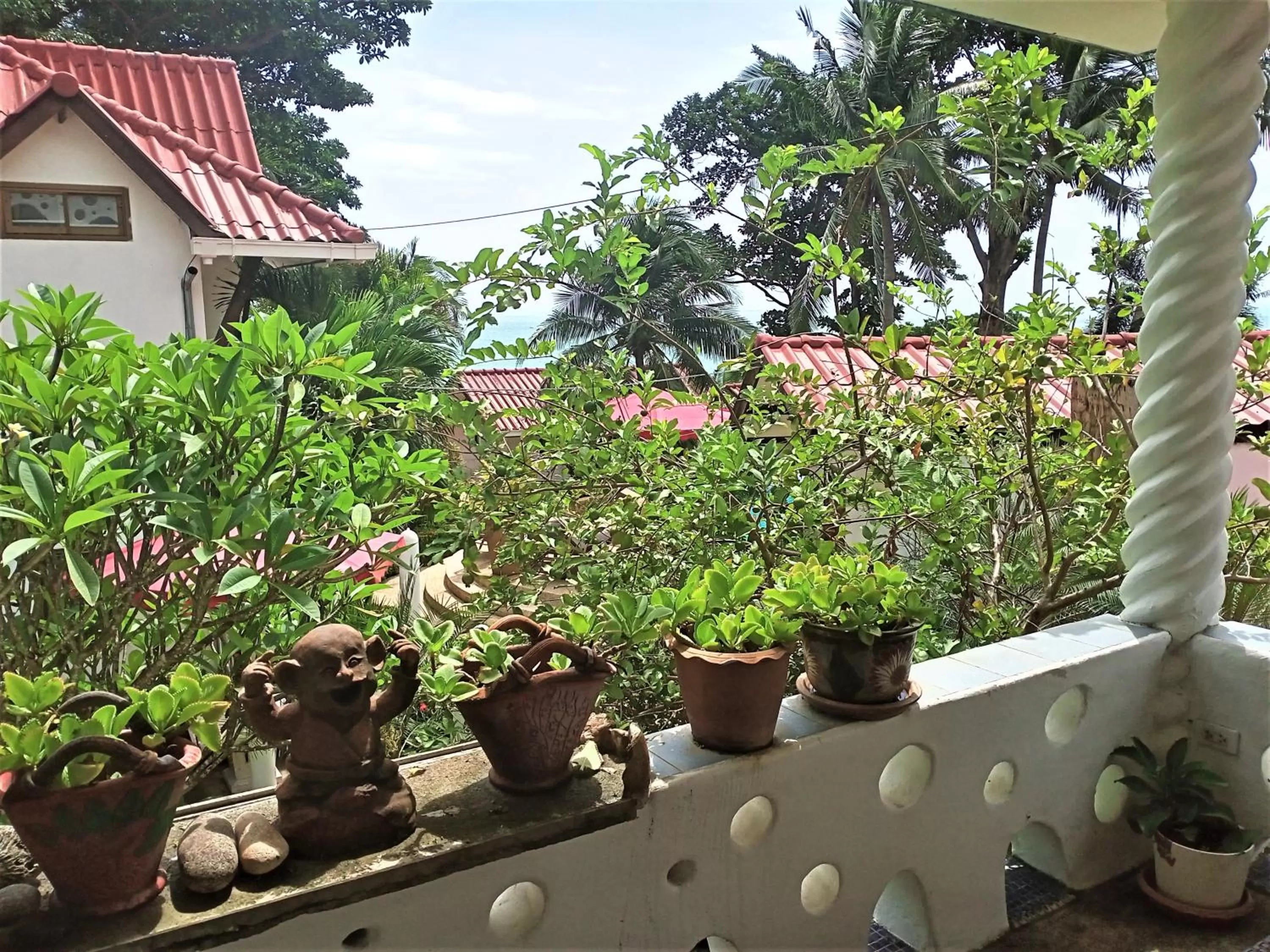 Garden view in Top Resort