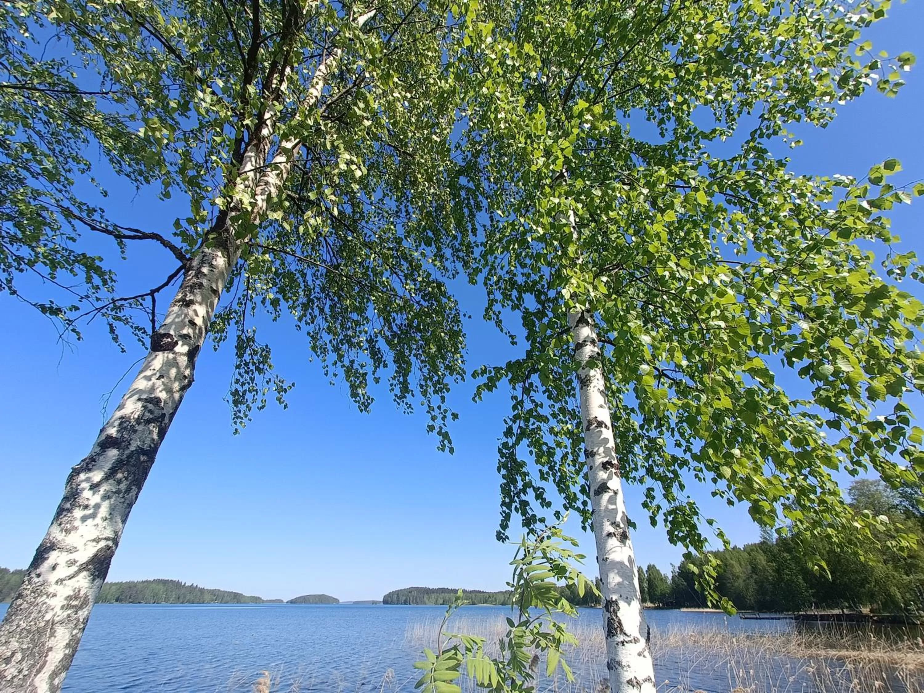 Nearby landmark in Cronin's Guesthouse Bed & Breakfast