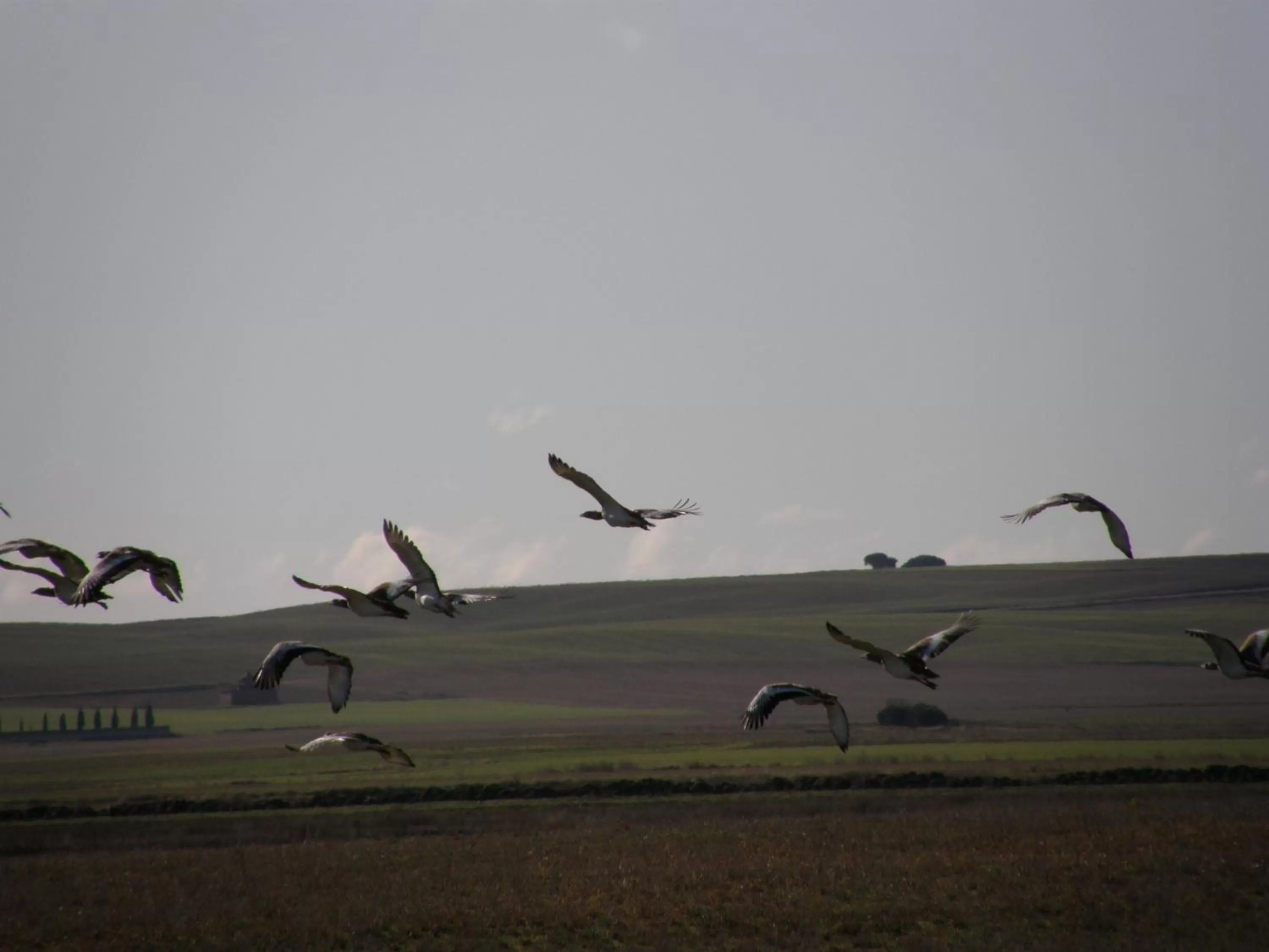 Nearby landmark in Hostal Athlanta