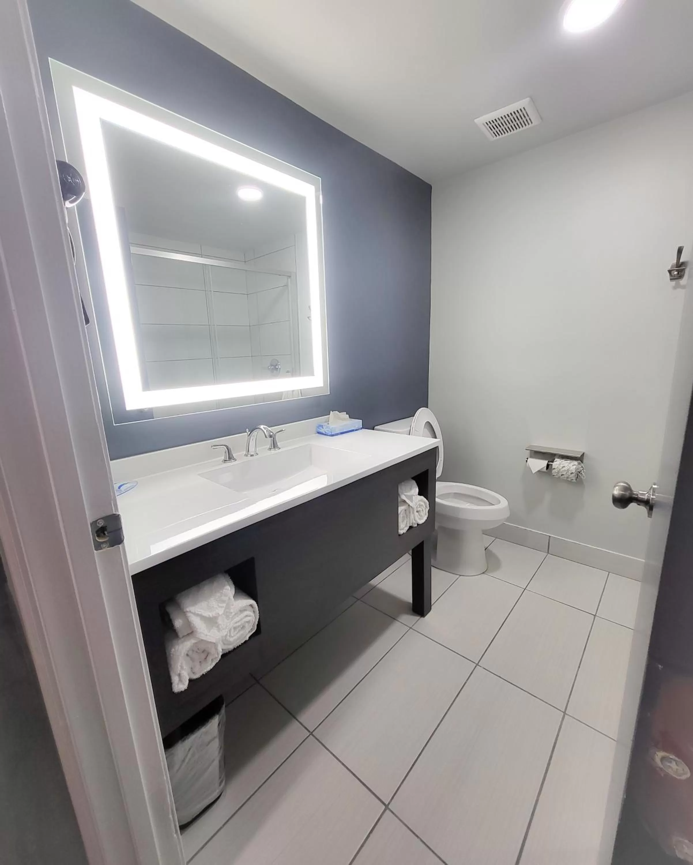 Bathroom in Rodeway Inn Norfolk