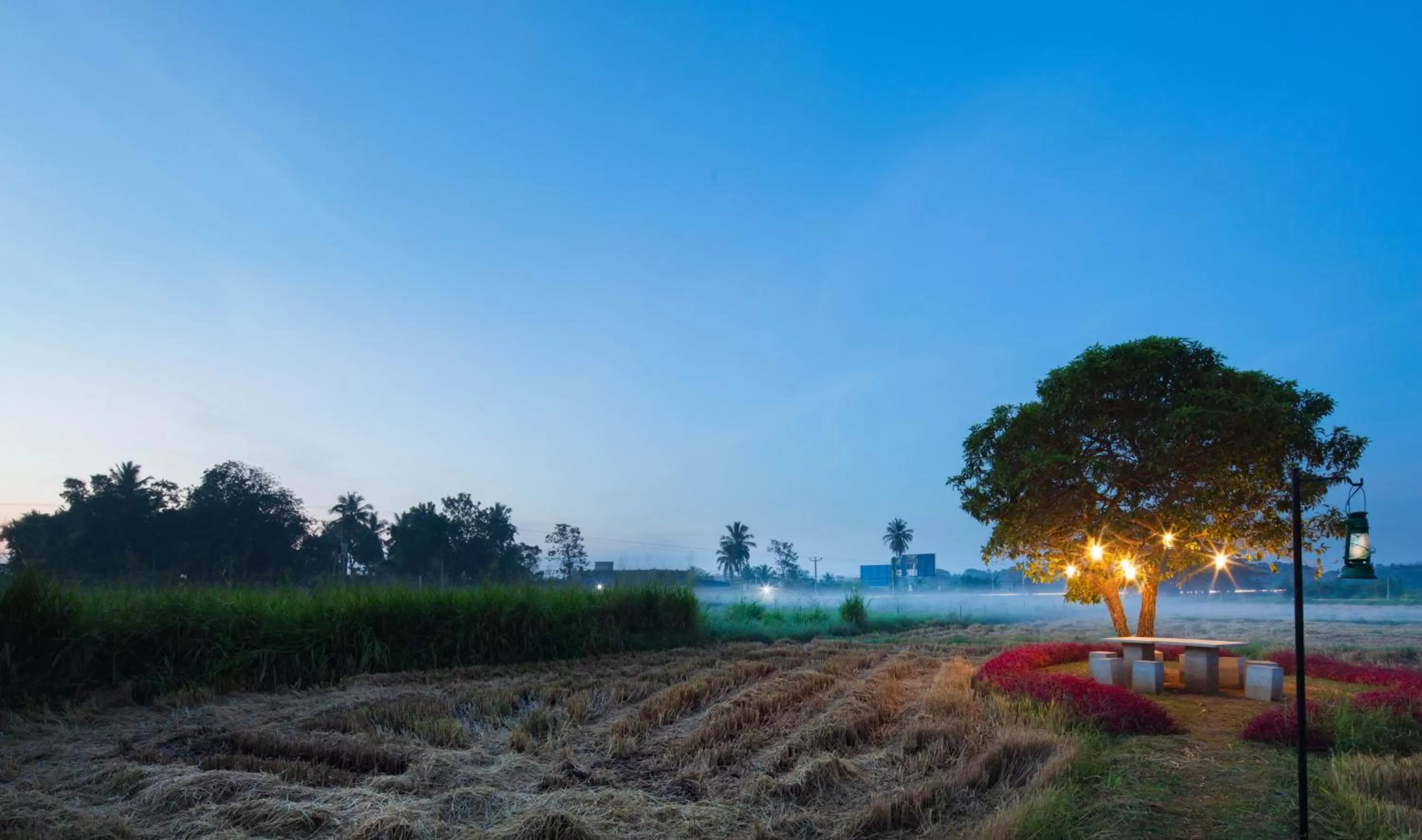 Natural landscape in Kubura Resort
