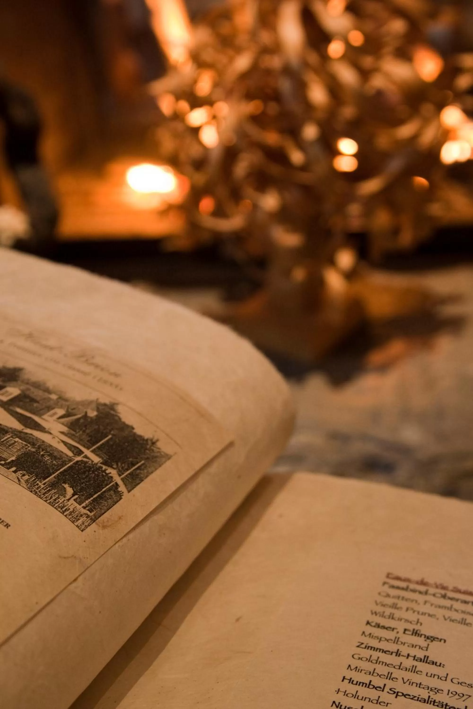 Other in Hotel Le Grand Chalet Gstaad