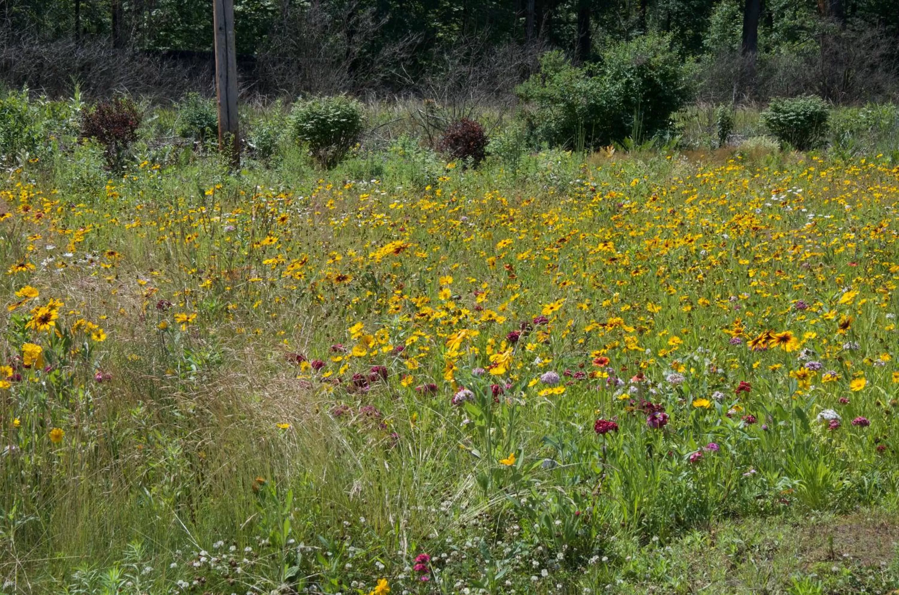 Natural landscape in Sara Glen Motel - Saratoga Springs-Glens Falls