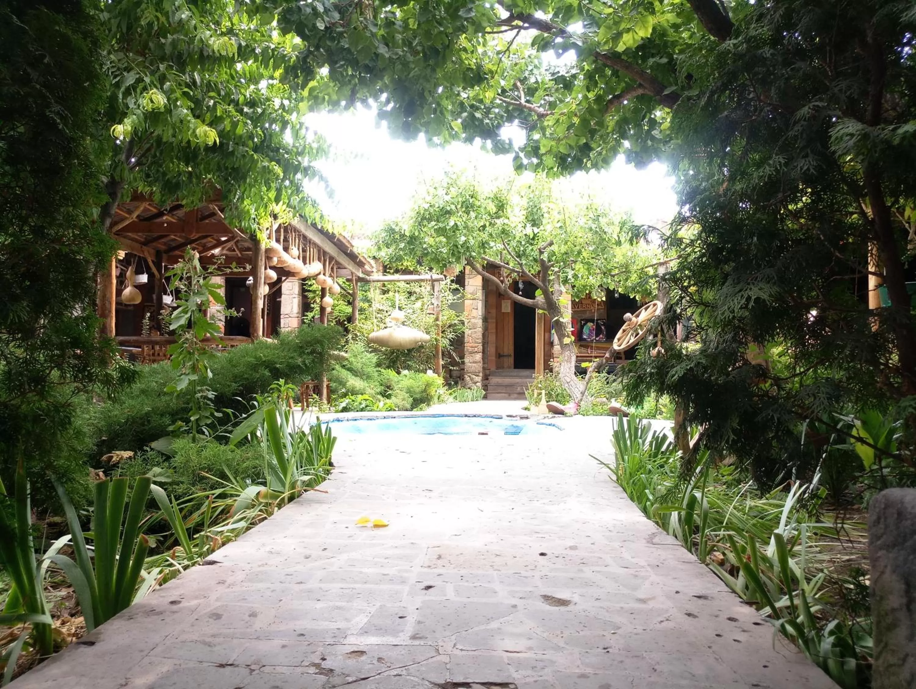 Garden in Machanents Art Hotel