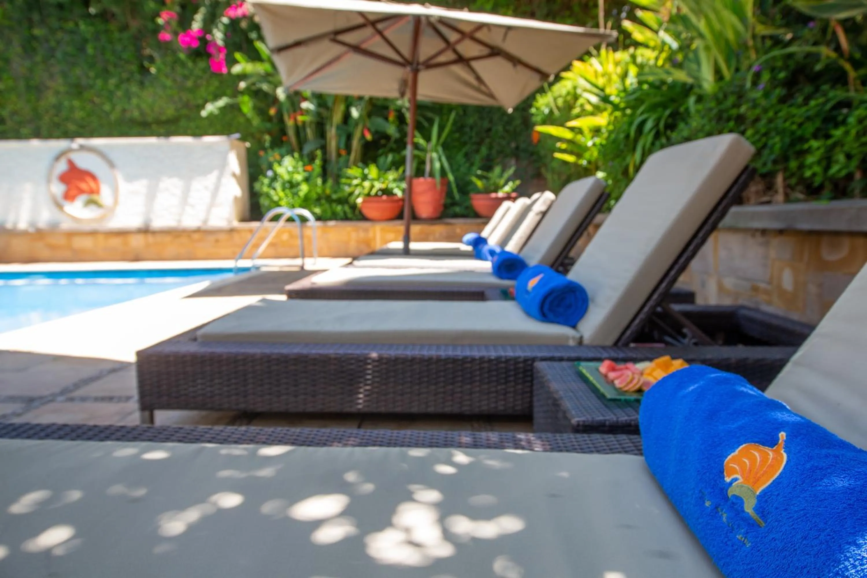 Swimming pool in African Tulip Hotel