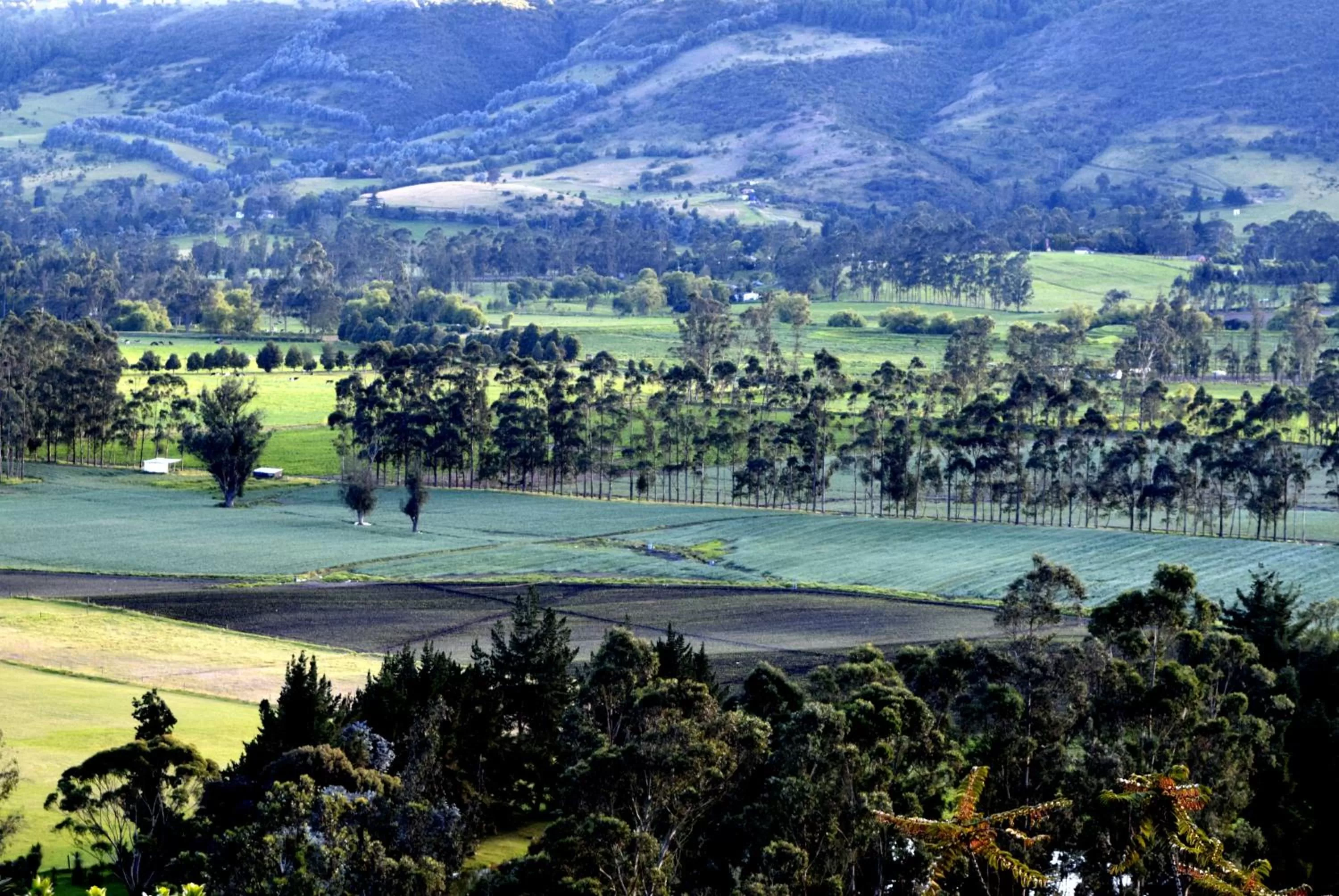Natural landscape in El Pedregal Sopó