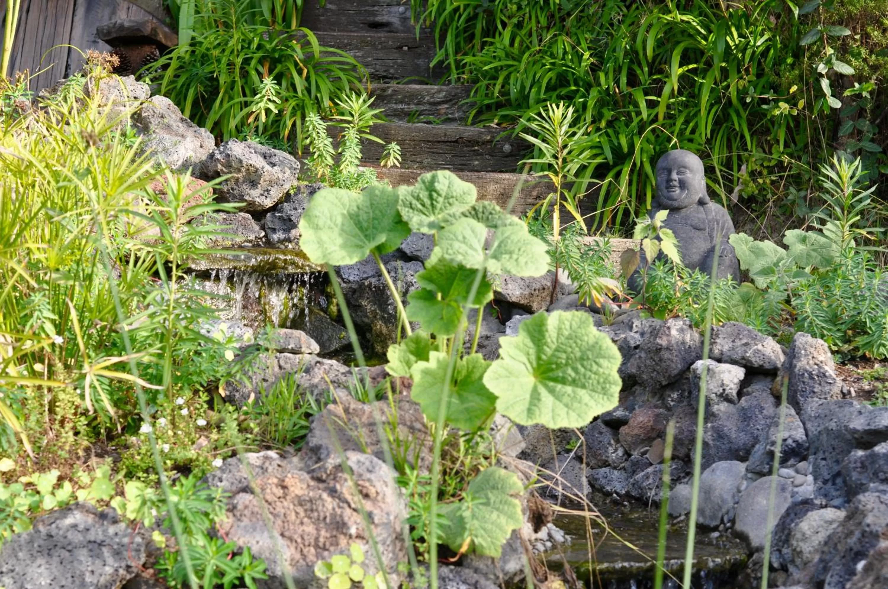 Garden in Kawai Purapura Yoga Retreat Centre