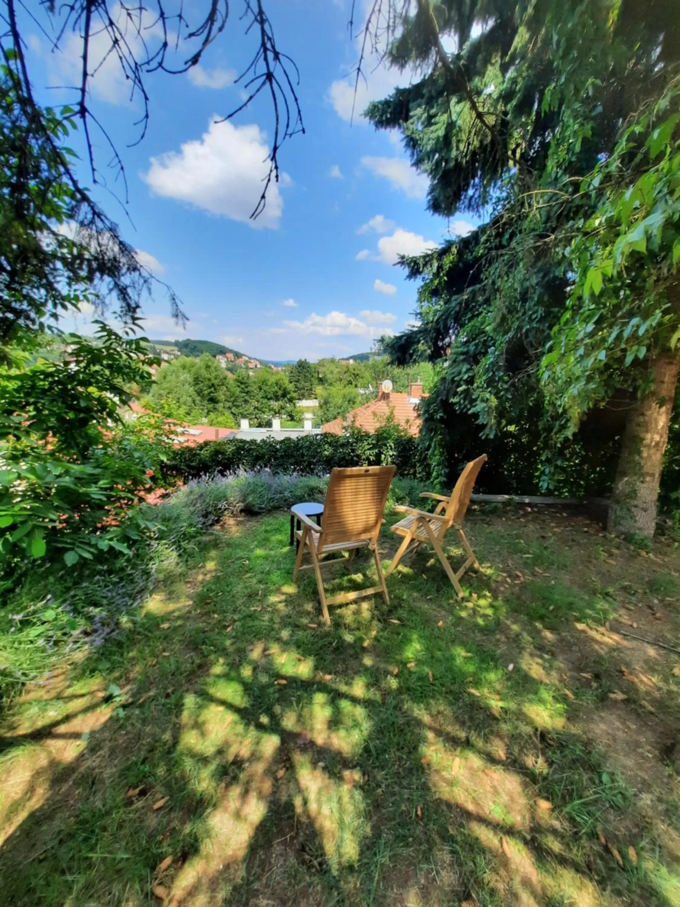 Garden in Hotel Vincent