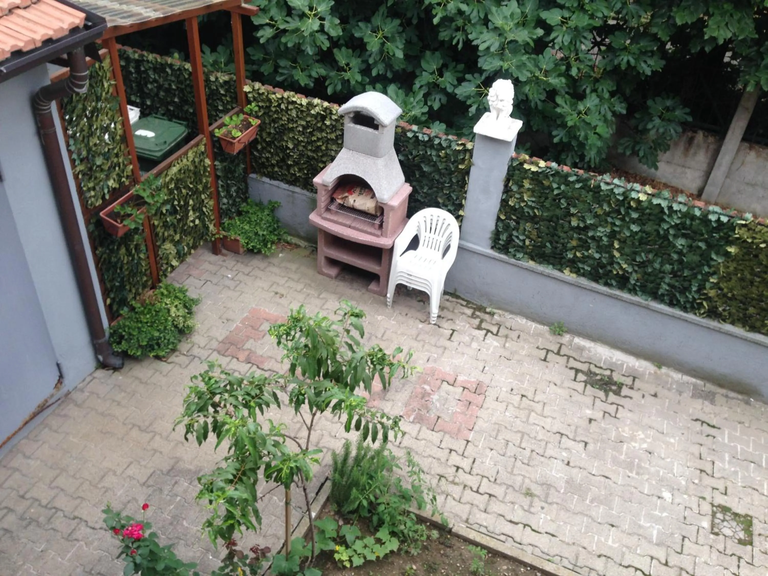 Garden in Hotel Bonola