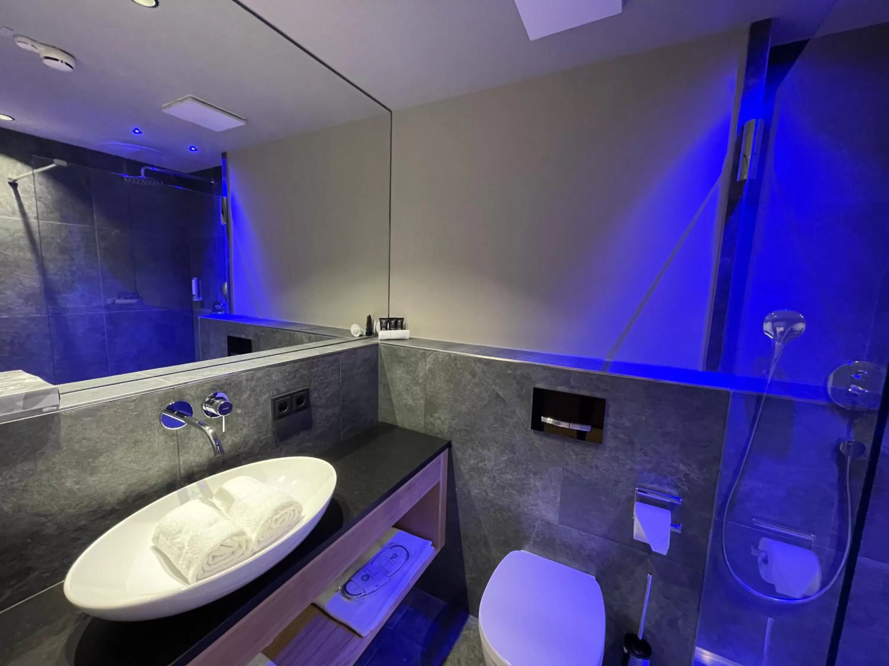 Bathroom in Alpin Lifestyle Hotel Löwen & Strauss