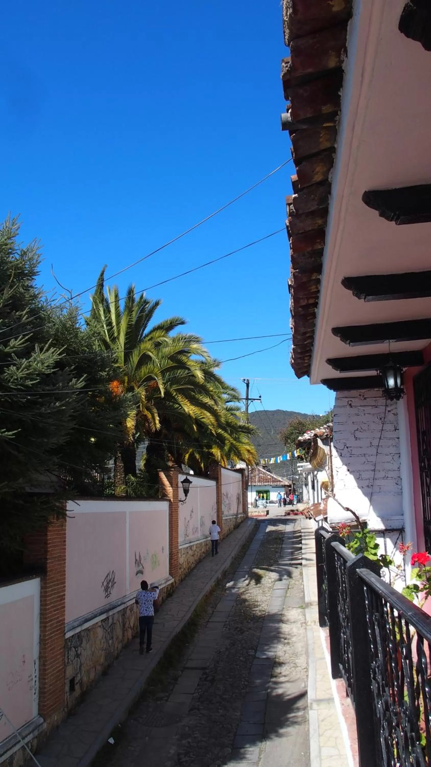 Property building in kukulkan hostal