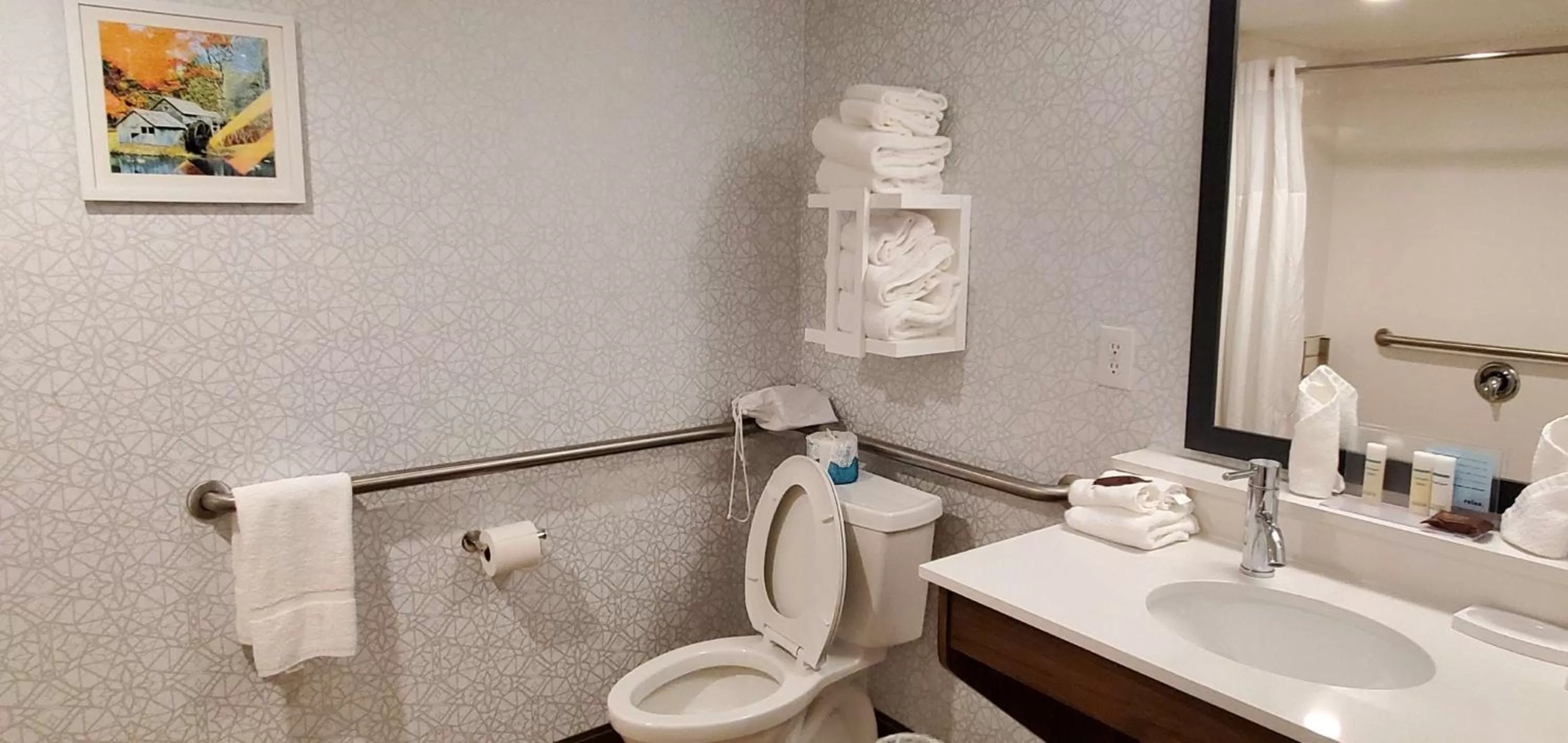 Bathroom in Hampton Inn - Hillsville