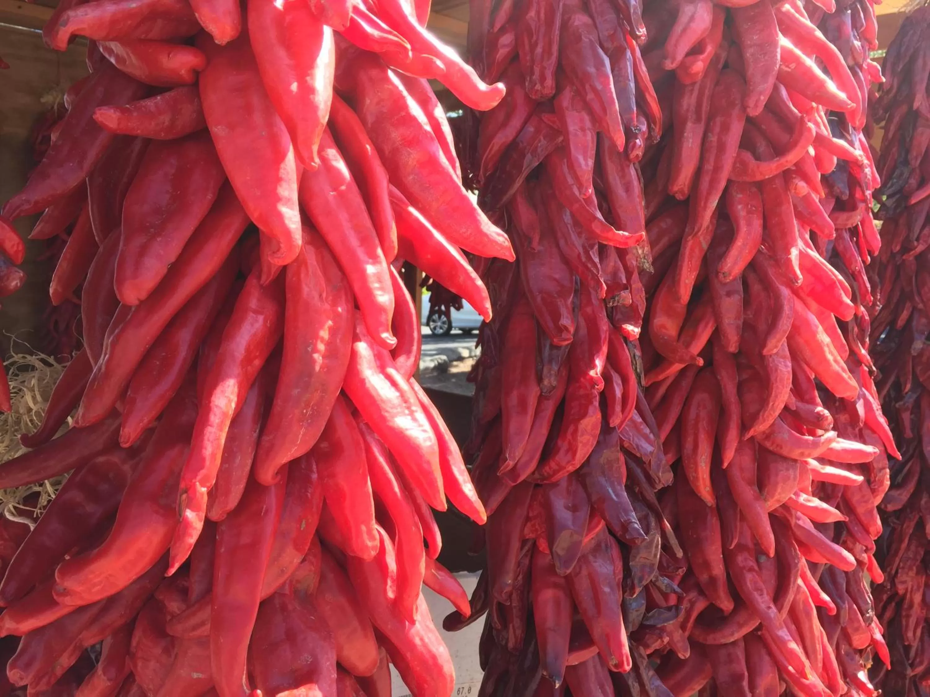 Neighbourhood in Casa de Tres Lunas/House of Three Moons