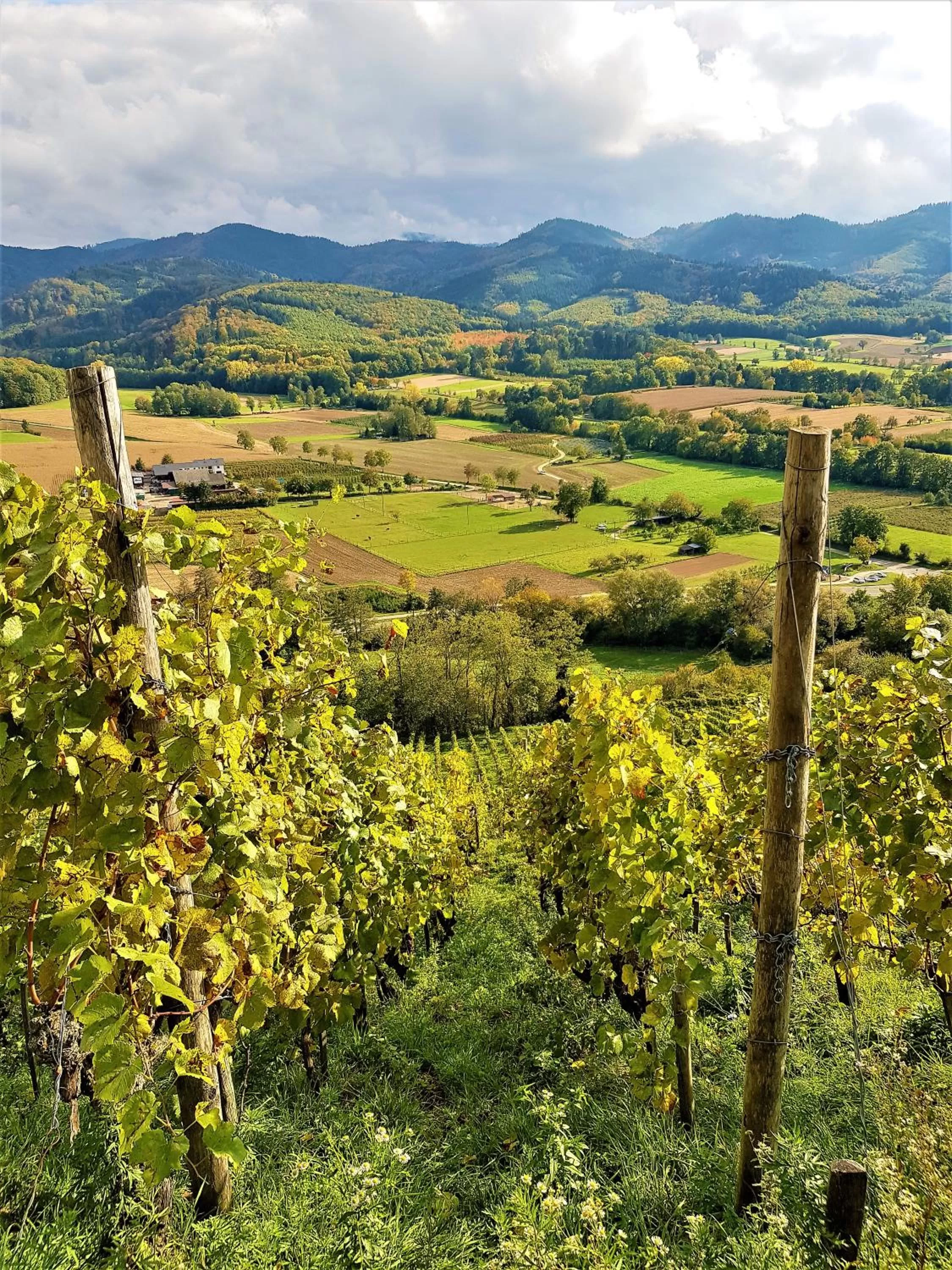 Staff in Apart Hotel Freiburg