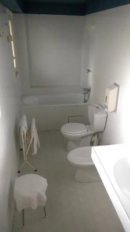 Standard Twin Room - single occupancy in Les Portes du Cantal