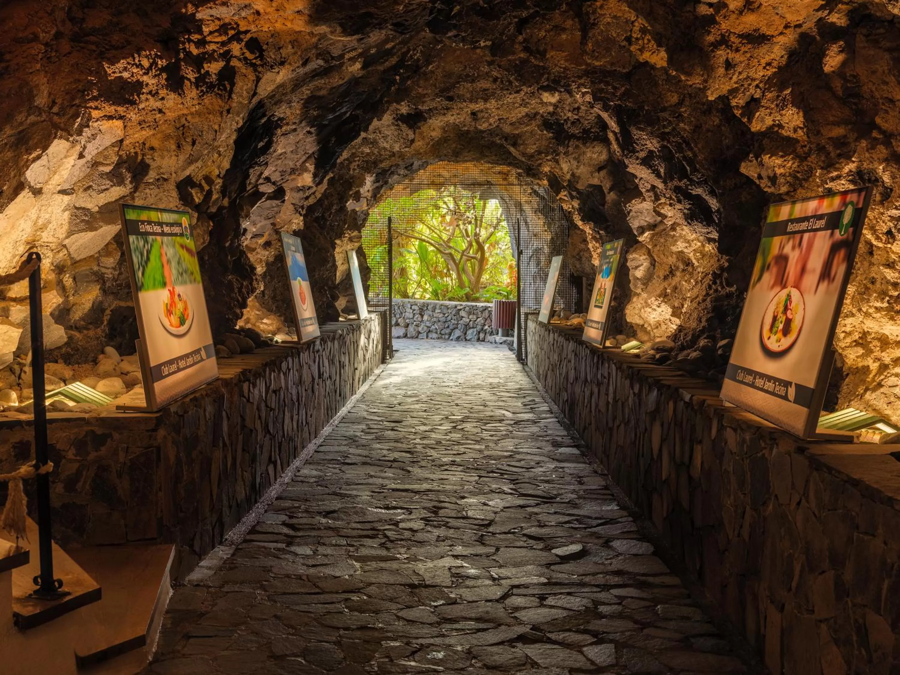 Area and facilities in Hotel Jardín Tecina