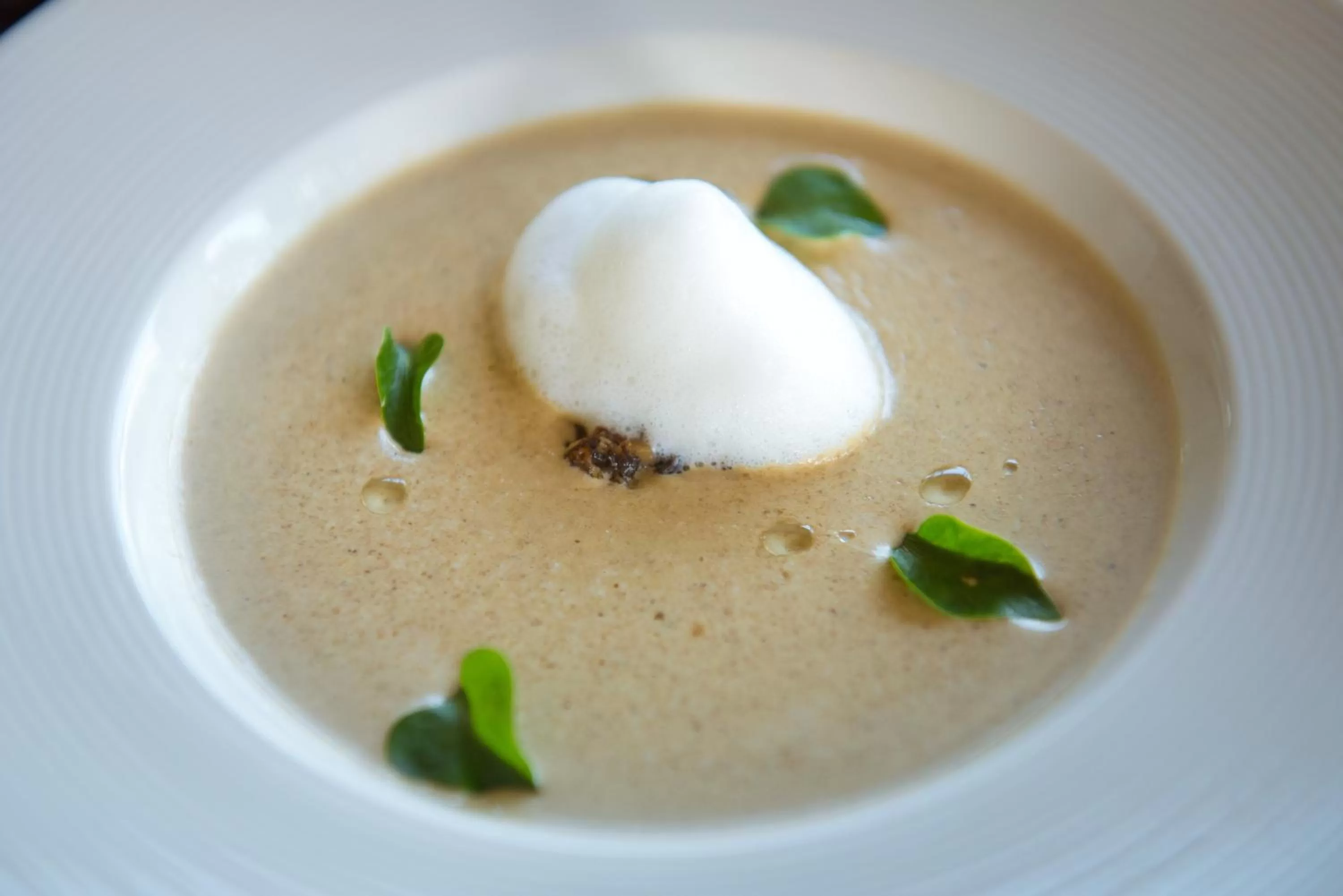 Lunch in North Hill City Resort