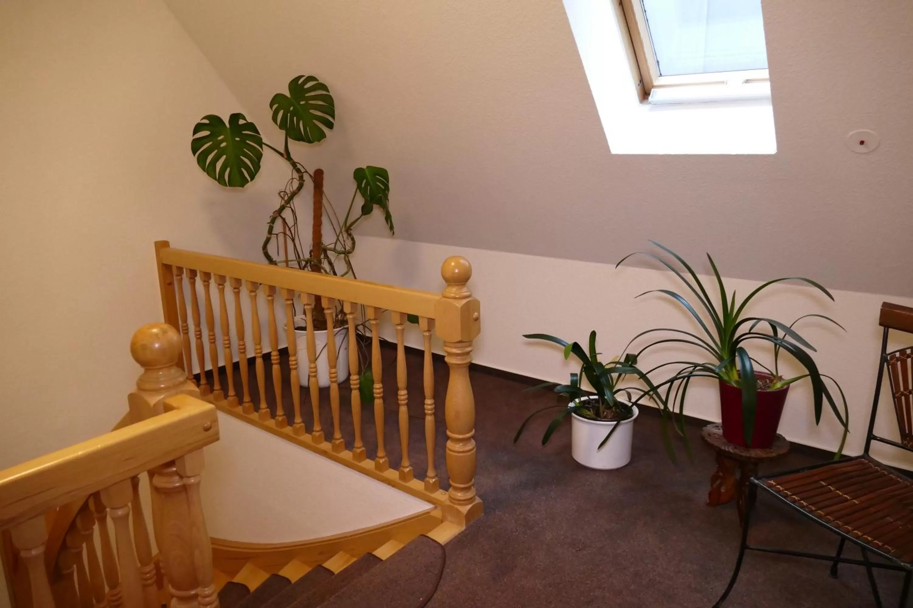 Decorative detail in Hotel Am Dom