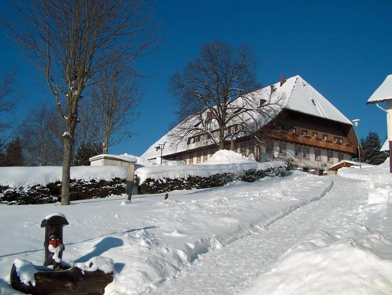 Property building in ZUR TRAUBE Schwarzwaldhotel & Restaurant am Titisee