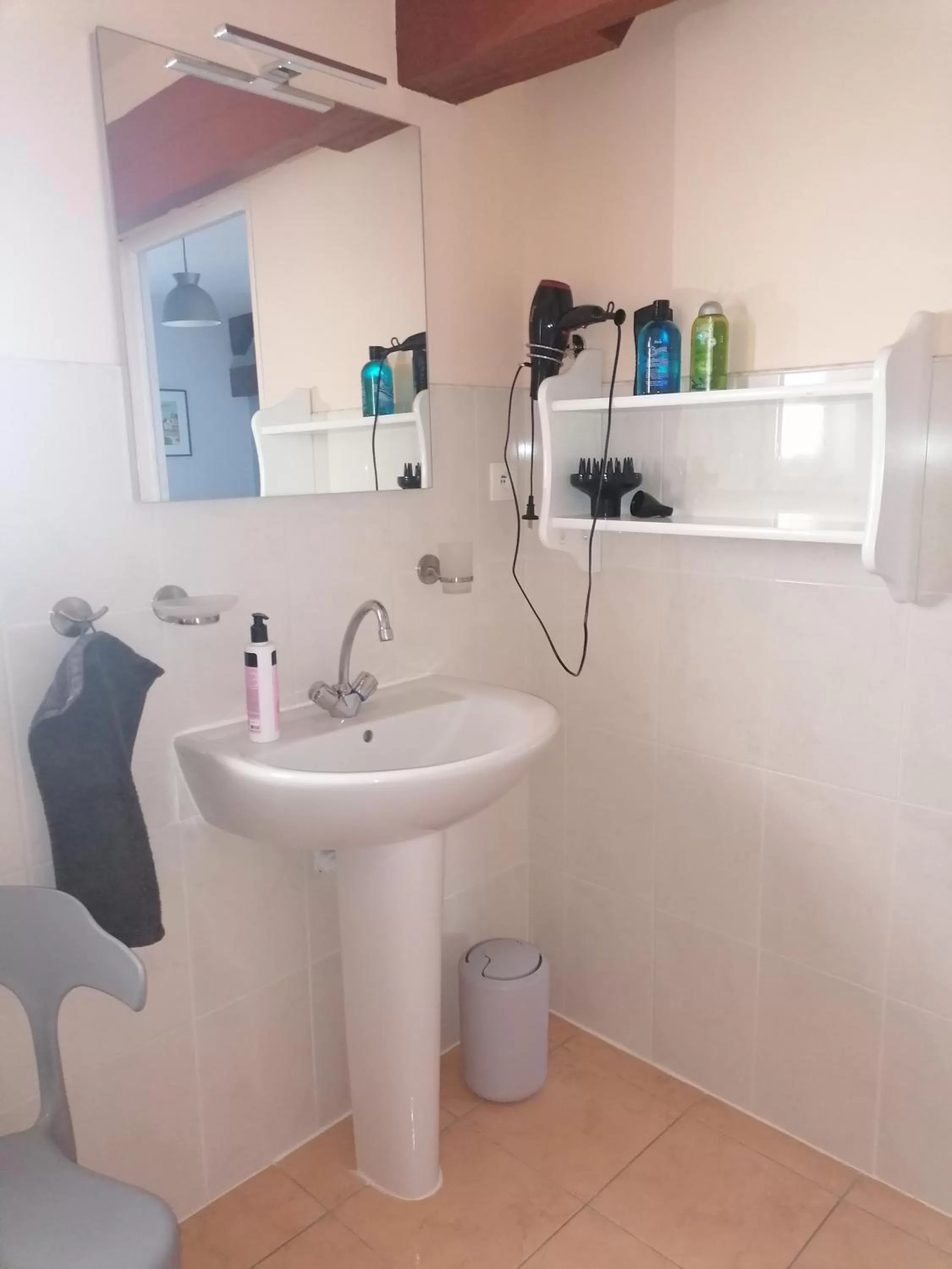 Bathroom in La Parisière