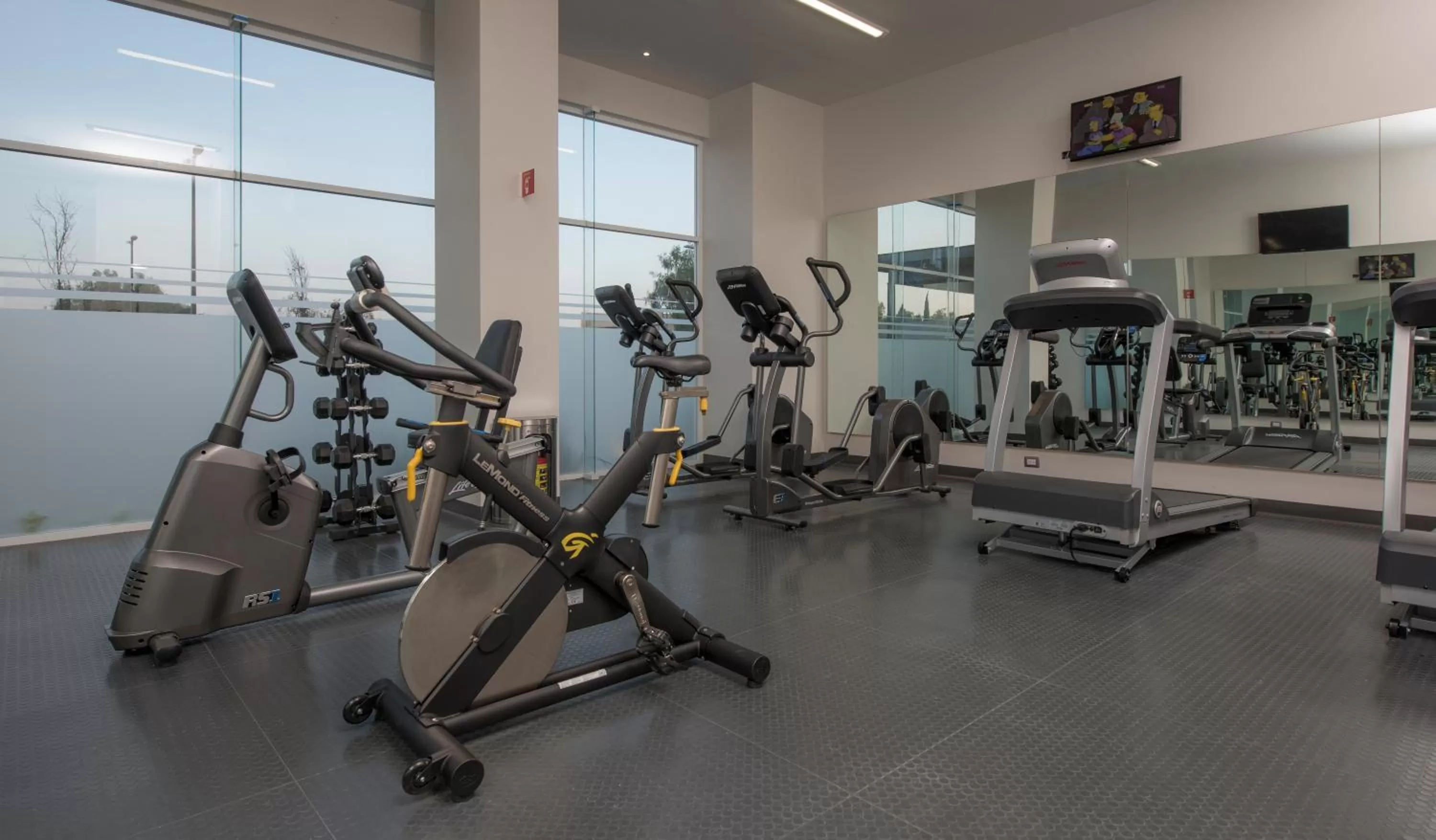 Fitness centre/facilities in Microtel Inn & Suites by Wyndham Irapuato