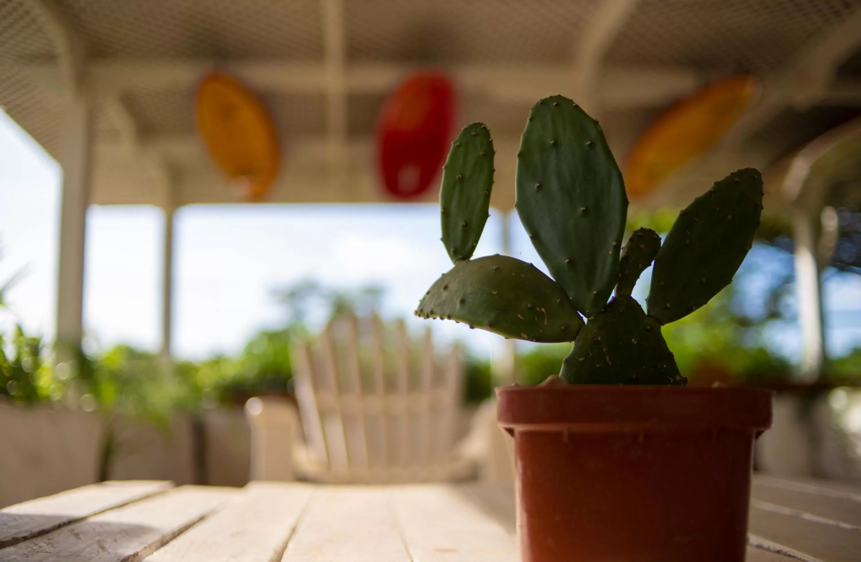Balcony/Terrace in Zulu Surf Hotel Tamarindo
