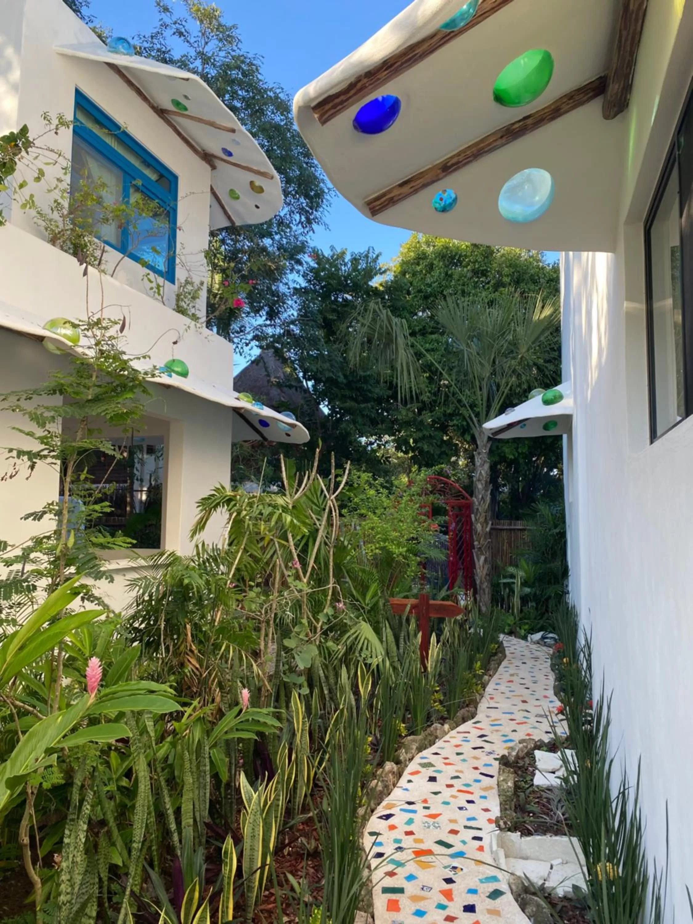 Garden in Maison Bacalar