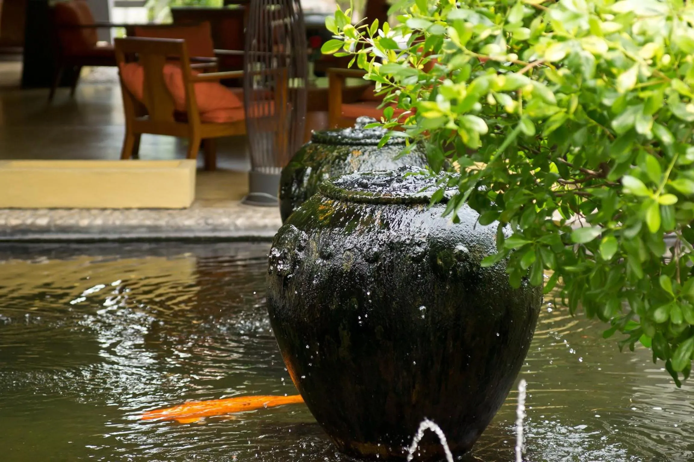 Other in Sunshine Garden Resort