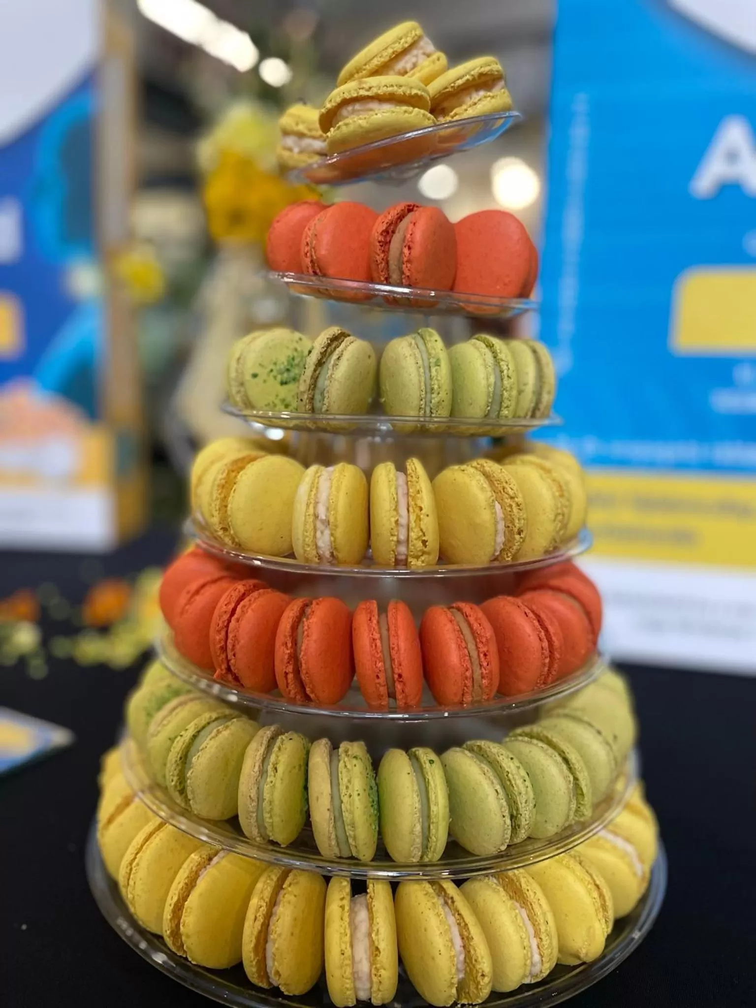 Restaurant/places to eat in Hotel Belweder