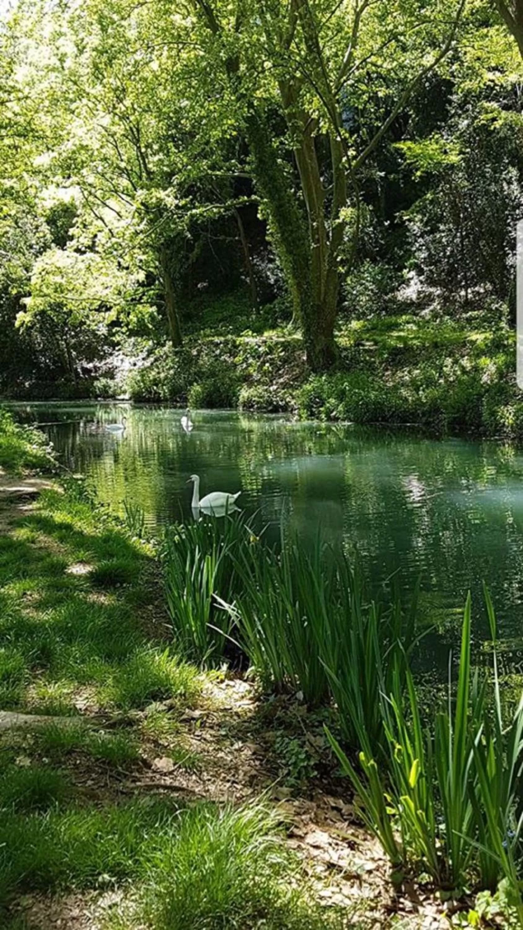 Activities in Premiere Classe Ales - Anduze